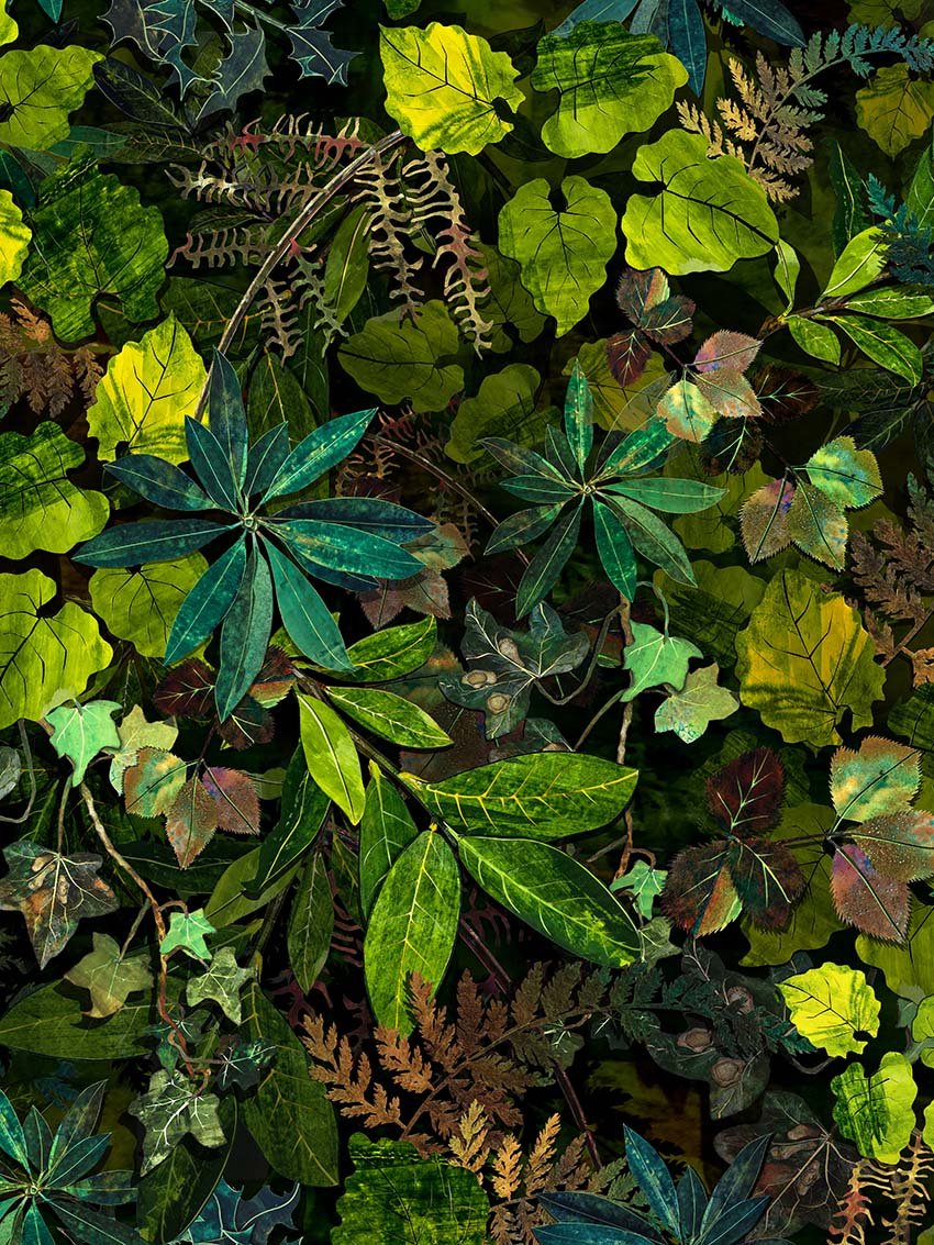 A dense collection of various green and brown leaves from different plant species, creating a lush and vibrant foliage scene.