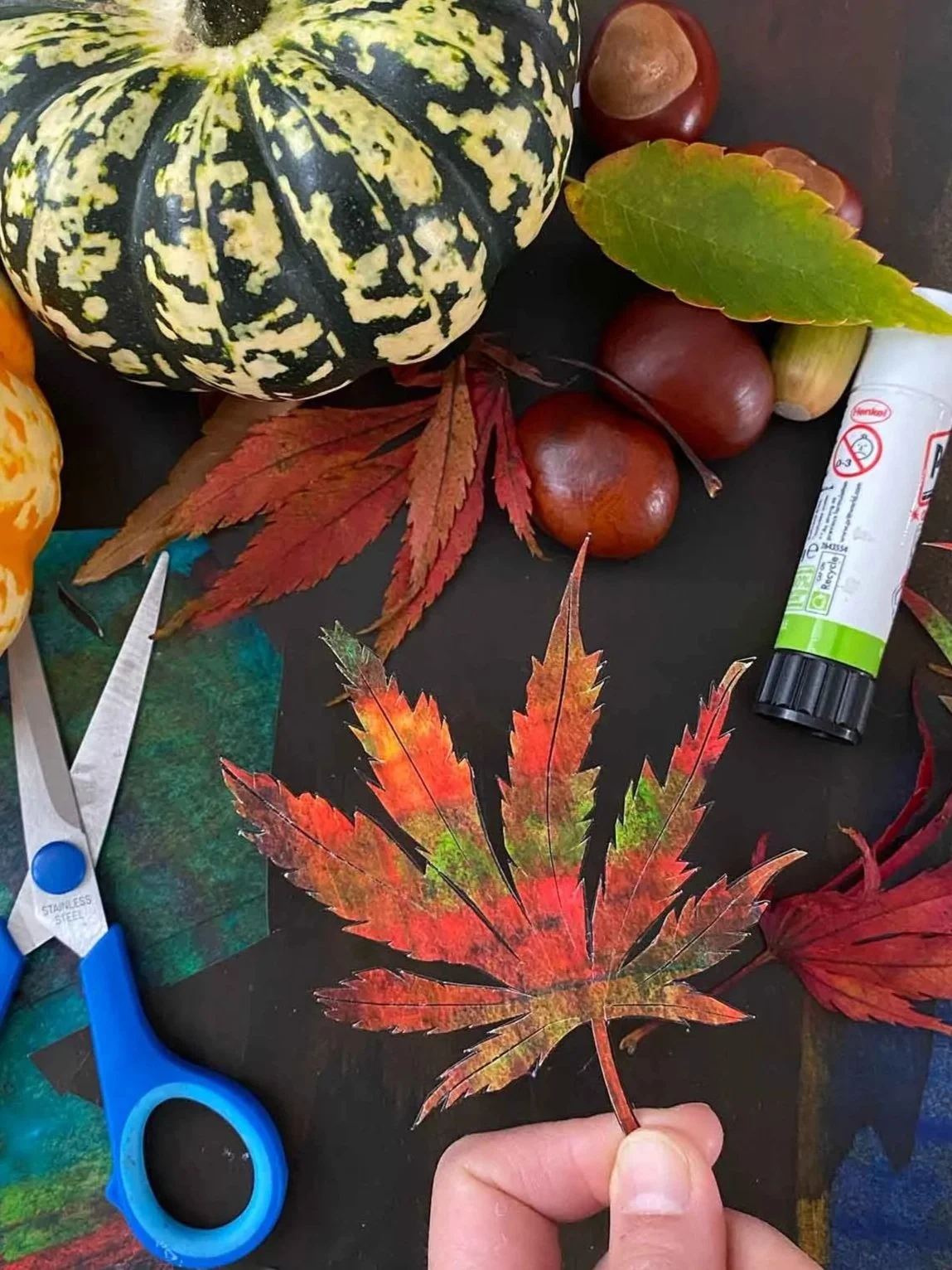 collage-squashes-and-conkers.jpg