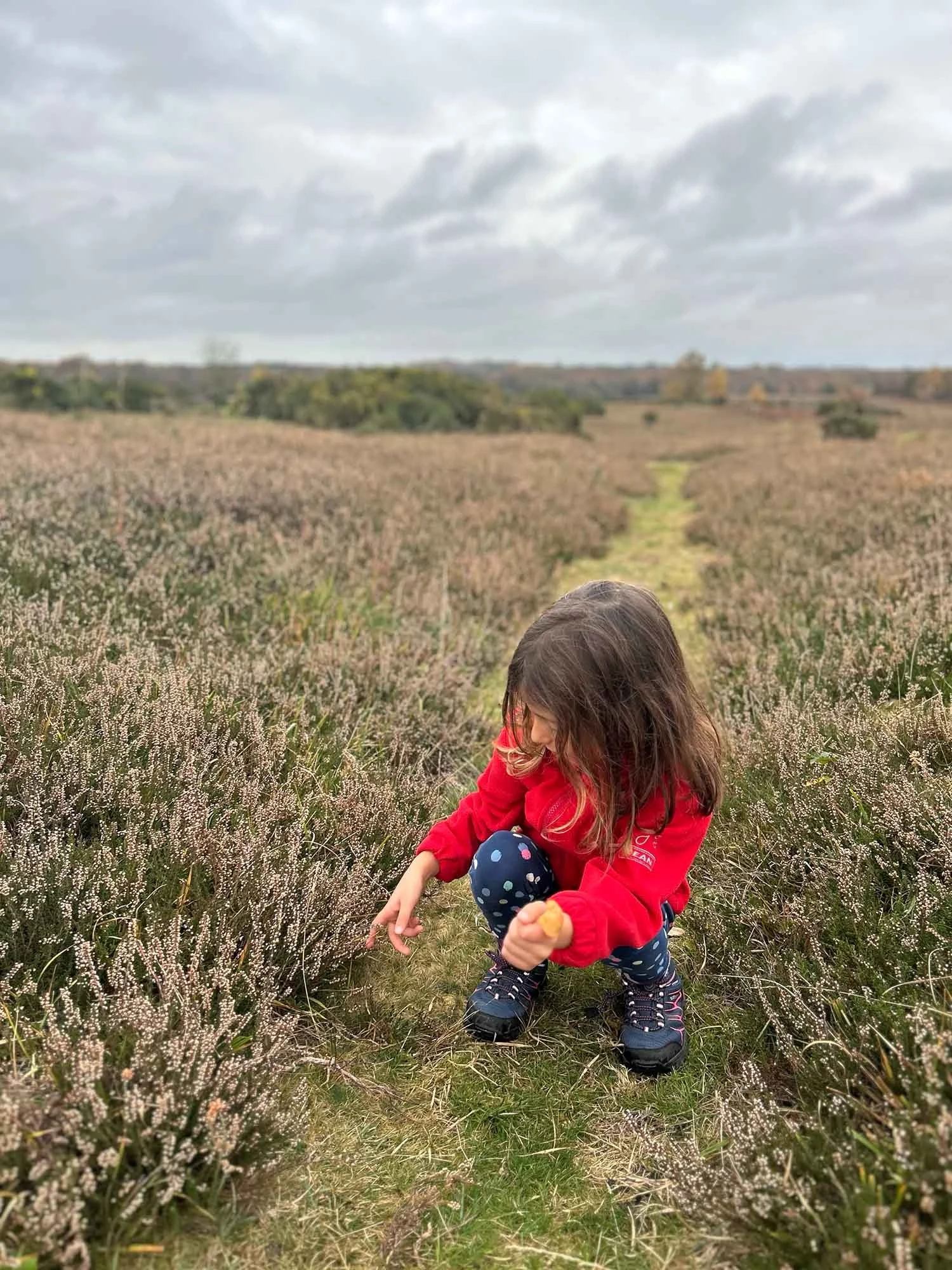 DaughterexploringNewForest.jpg
