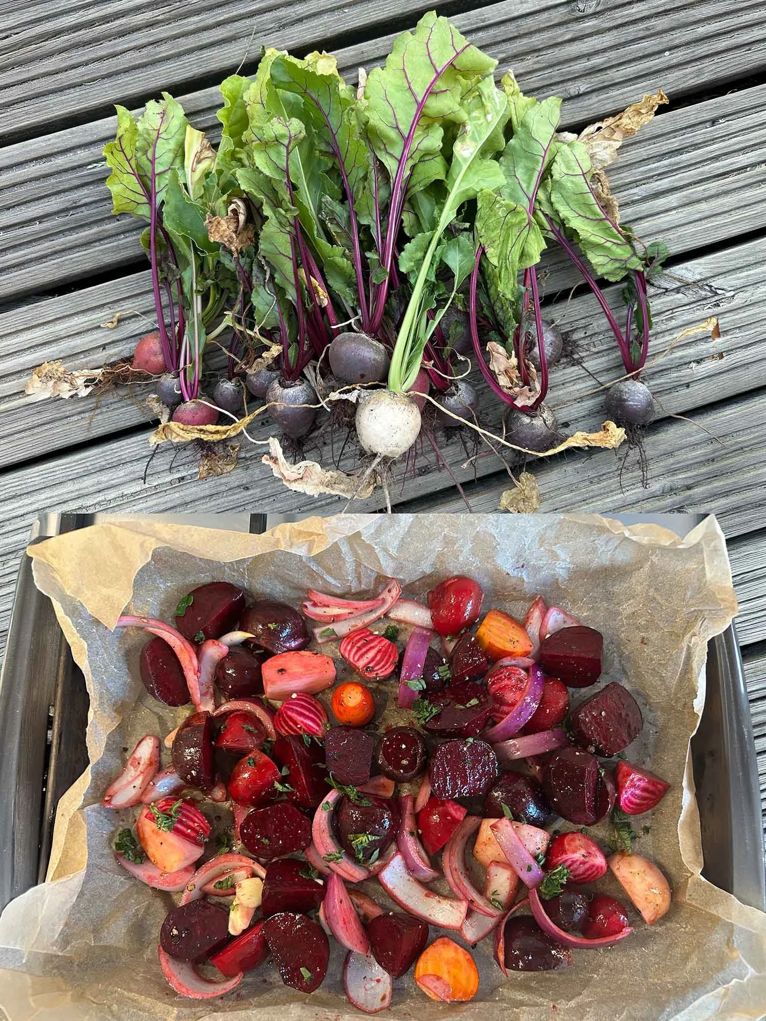 Harvested&CookedBeetroot.jpg