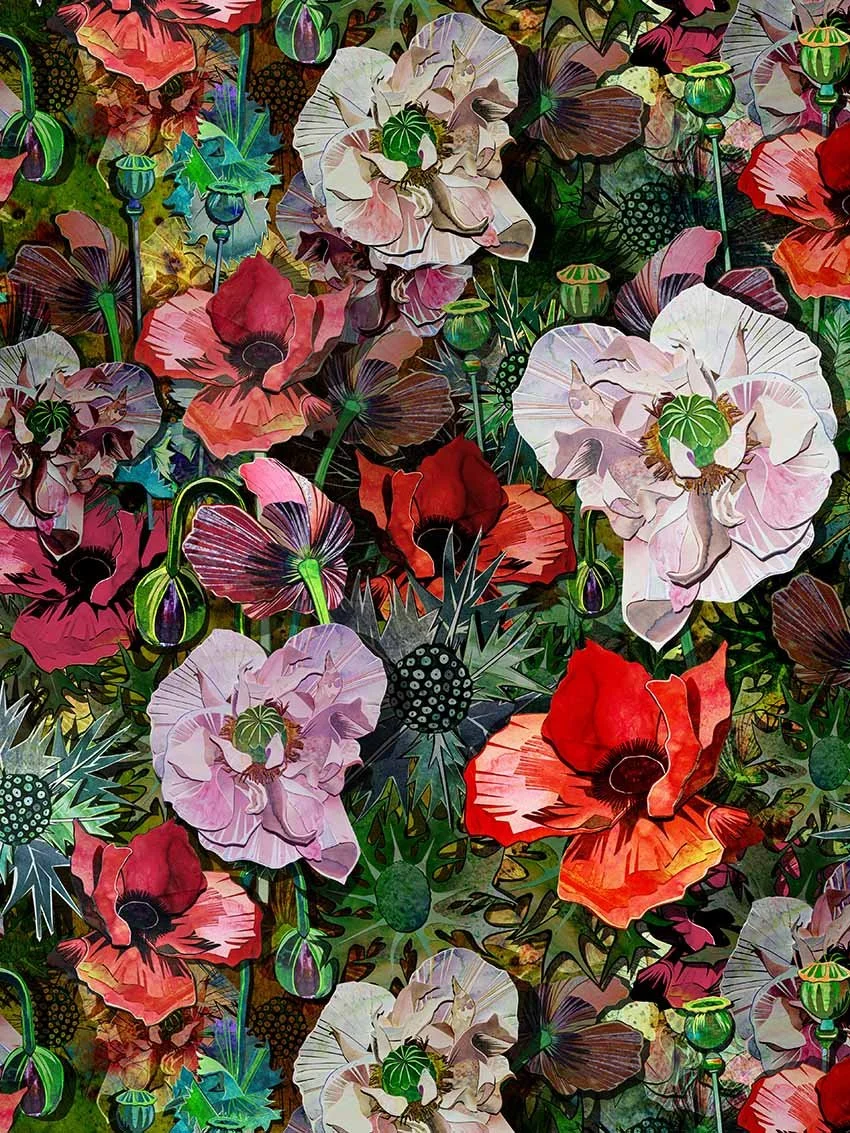 A digital illustration of a dense field of poppy flowers with pink, red, and white petals, green buds, and dark center pistils, surrounded by spiky green foliage.