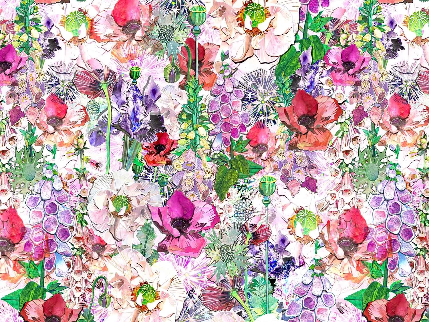 Summer Meadow | Petal Haze