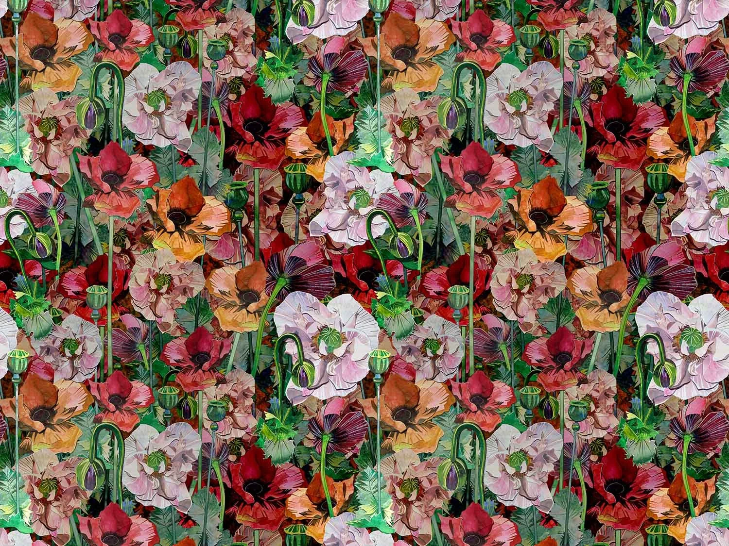 Wild Poppies | Blush & Flame