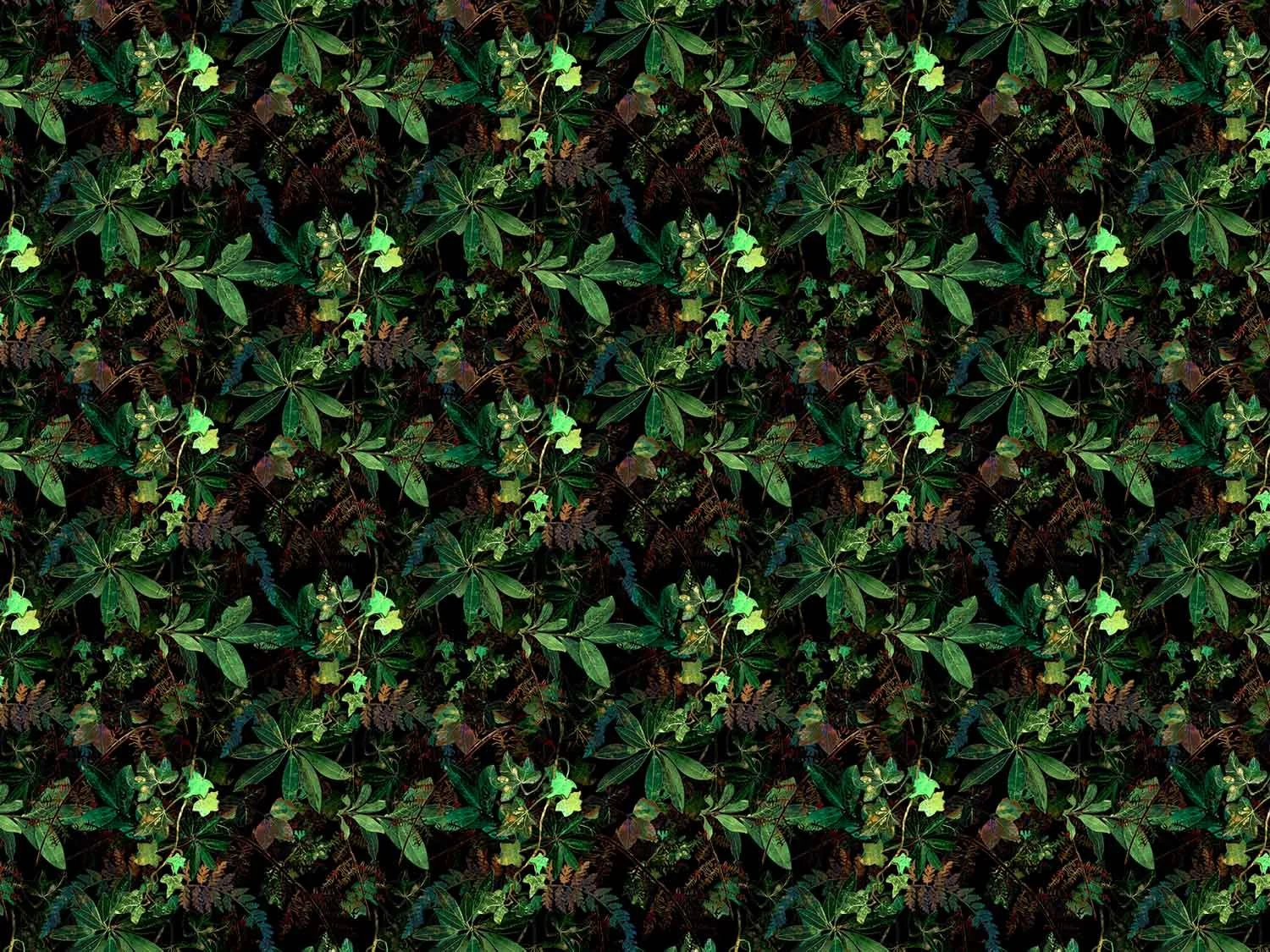 Undergrowth | Forest Shade