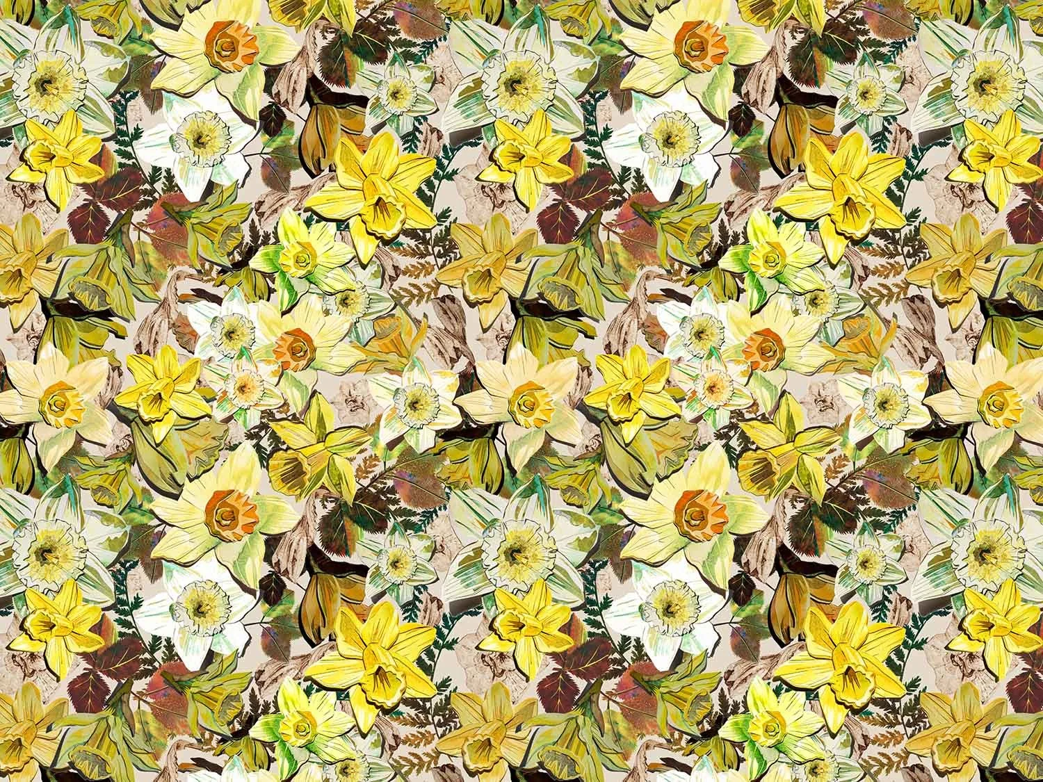 Springtime | Daffodil Dream