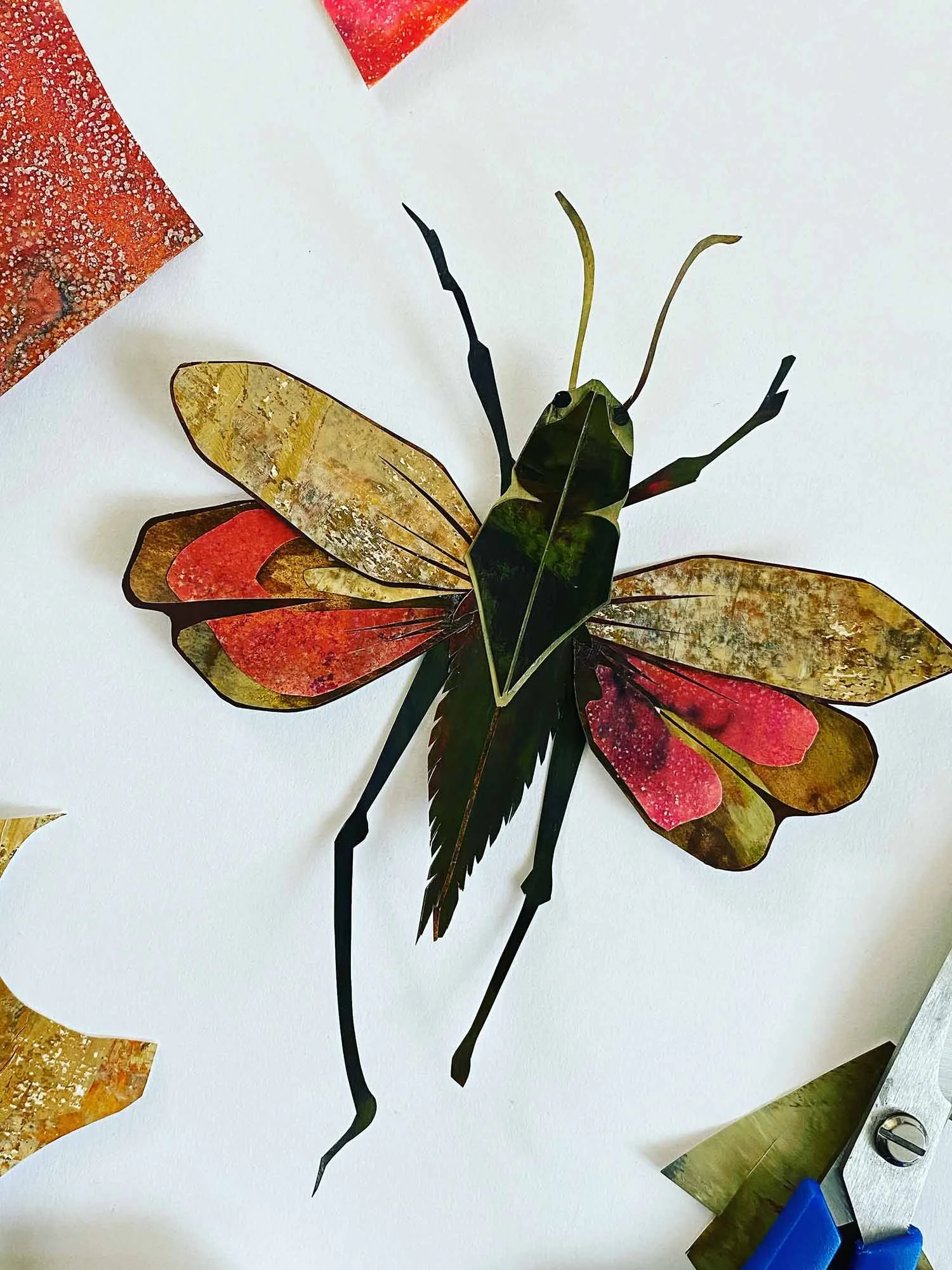 MothCollage.jpg