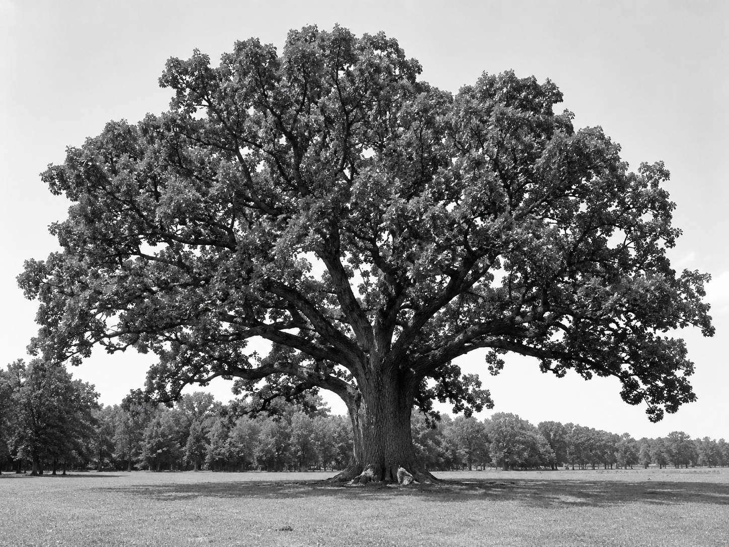 Discipleship is…Slow Formation