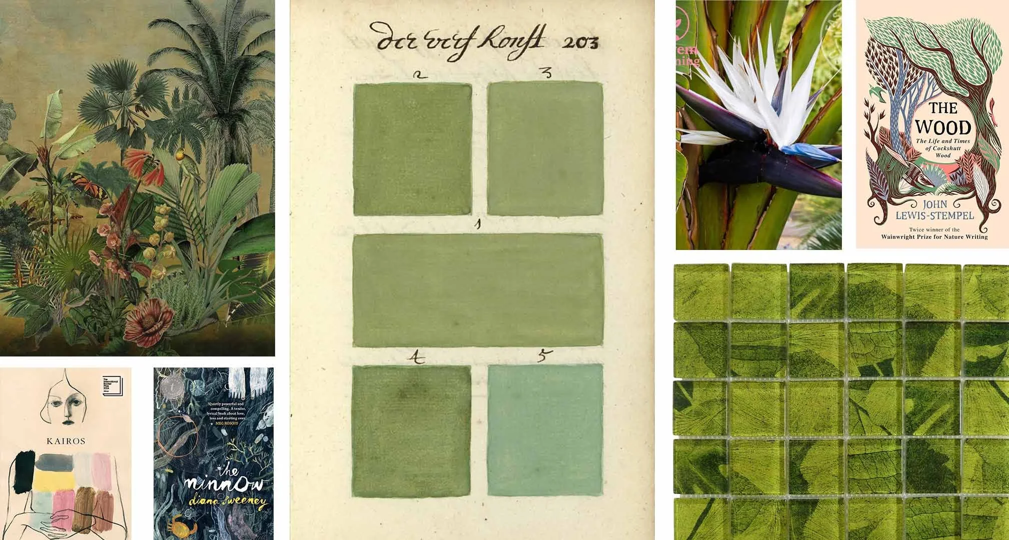 Visual research for How She Found Me, exploring botanicals, color, and literary references