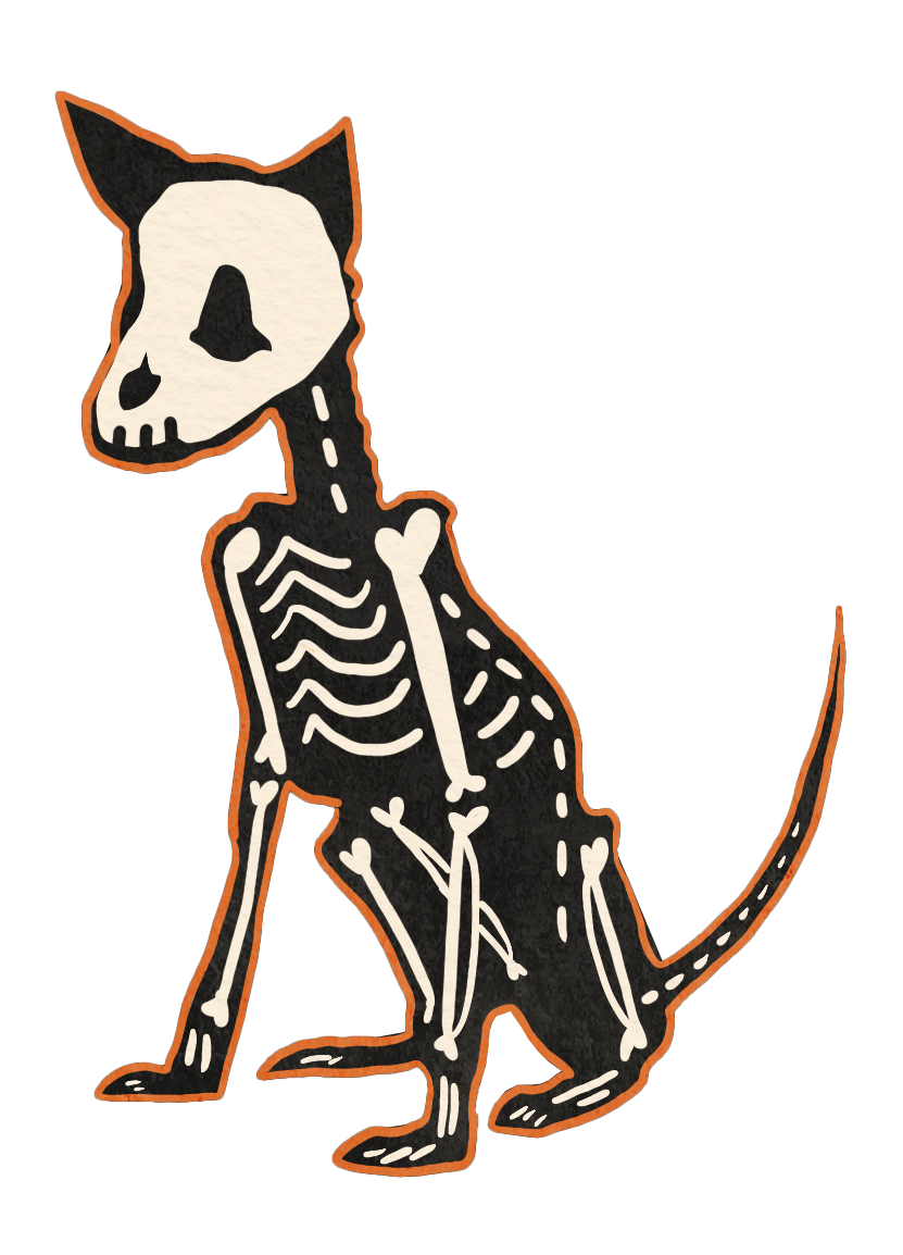 Chihuahua skeleton-dog illustration with exposed bones