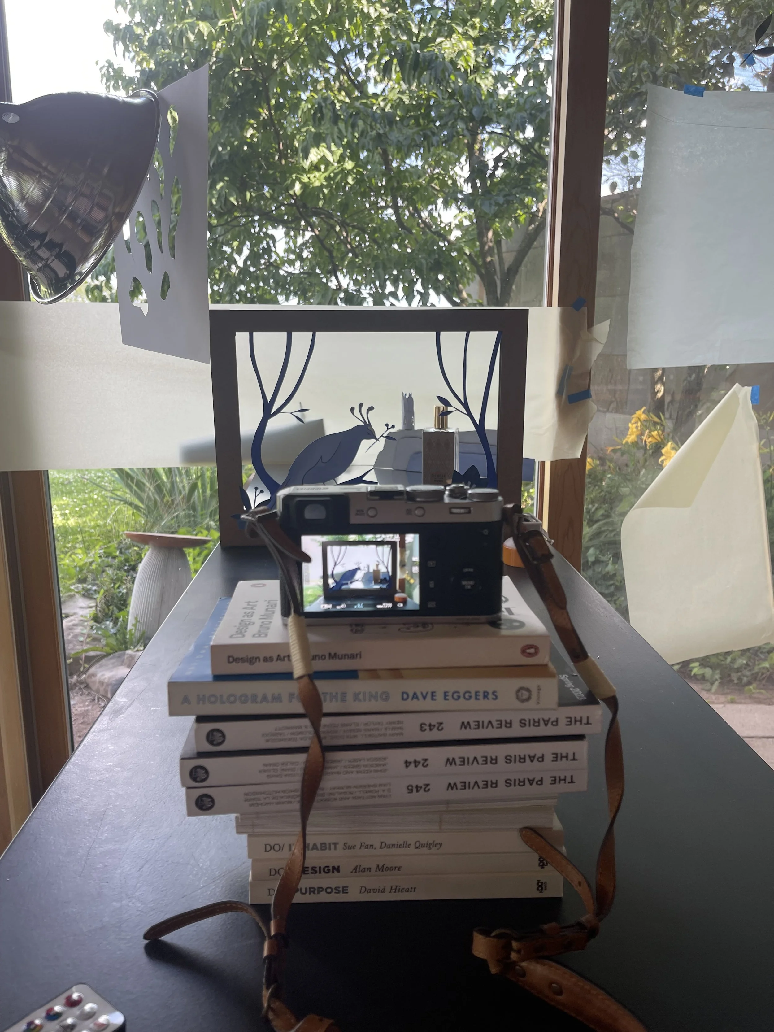 Photographing the paper diorama