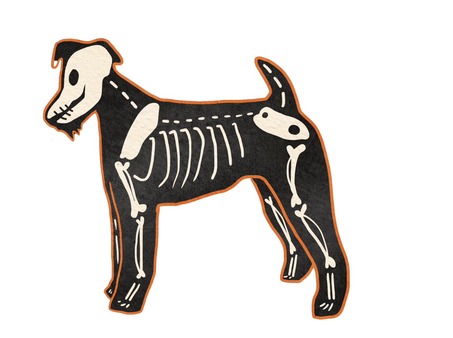 Terrier skeleton-dog illustration with exposed bones