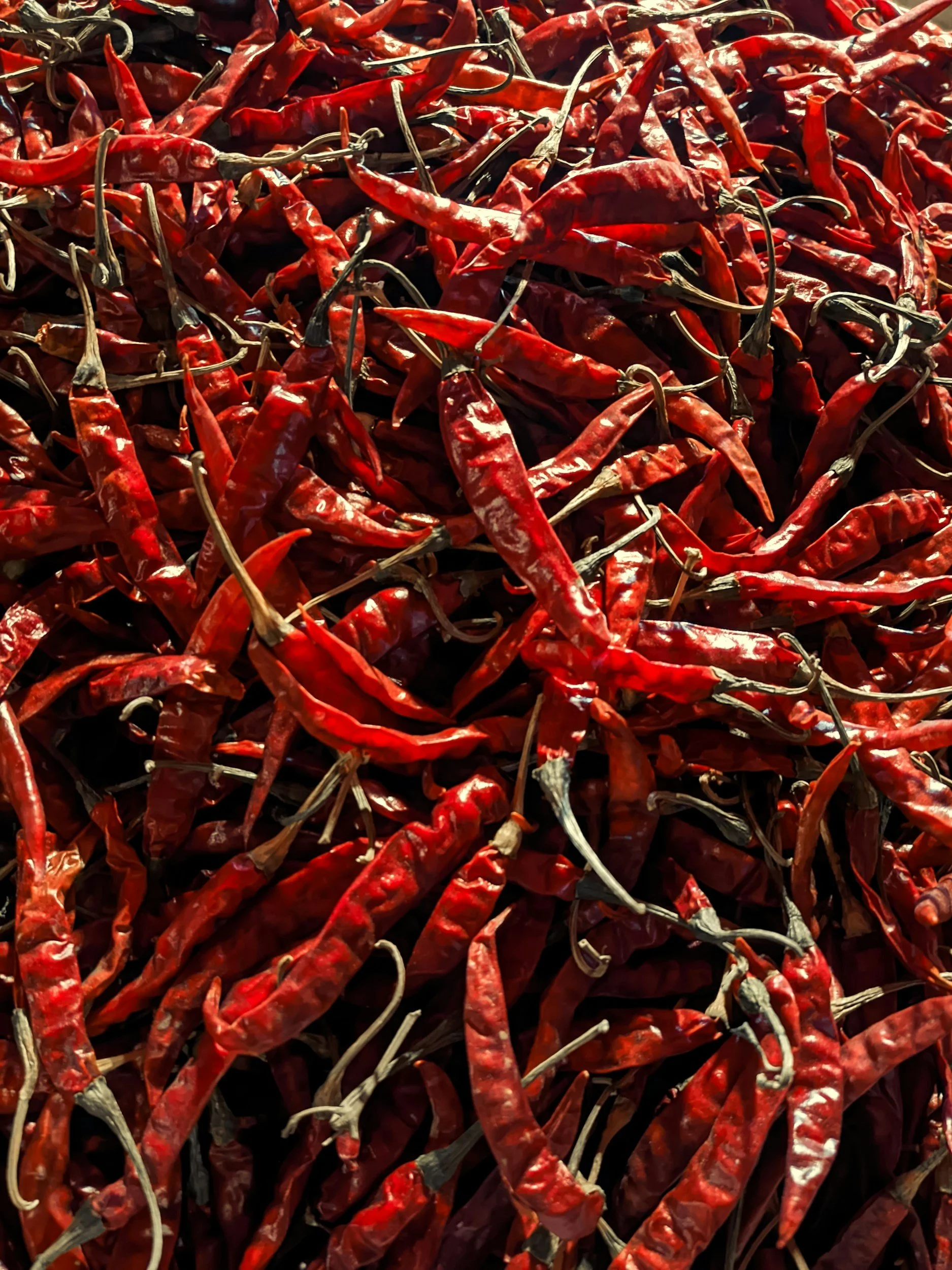 Viele getrocknete rote Chilischoten