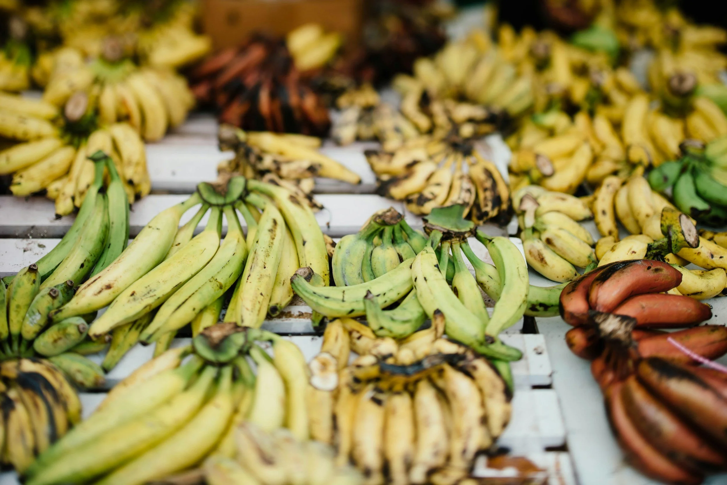 Verschiedene Plantainarten auf einem weißen Marktstand