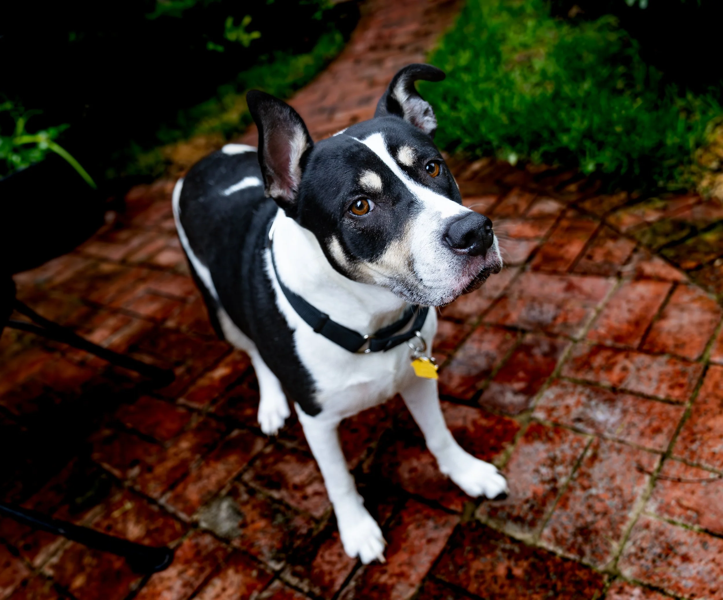 Intermediate Service