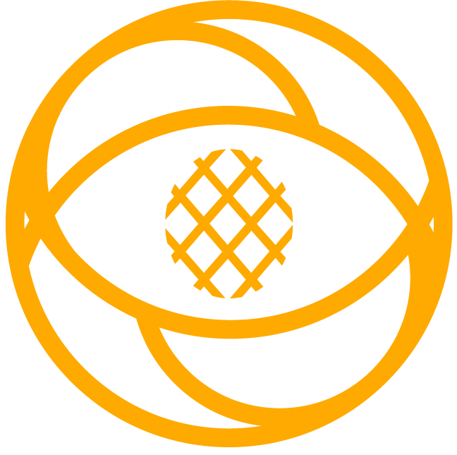 An orange, stylized icon of a pineapple inside a three-layered eye shape on a black background.