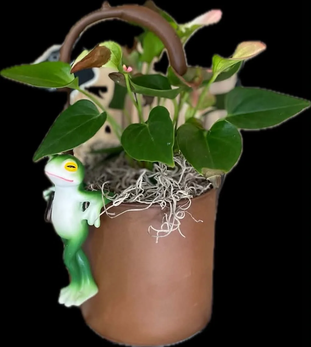 frog.jpg