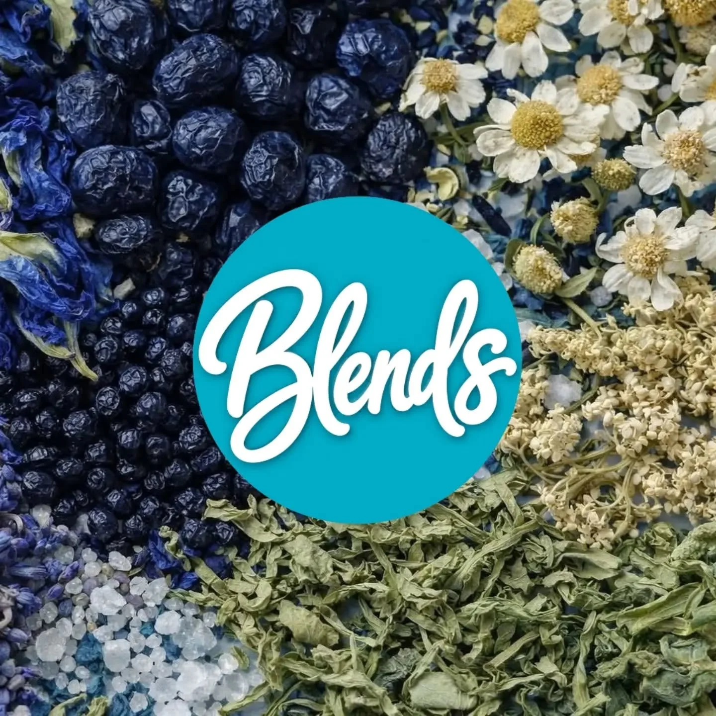 Did you know there's a botanical side to Nurse by the Shore too? 🌿

If you didn't already know, I also have a small botanical wellness brand called Blends by the Shore, where I create handcrafted organic elderberry products, herbal teas and small-ba
