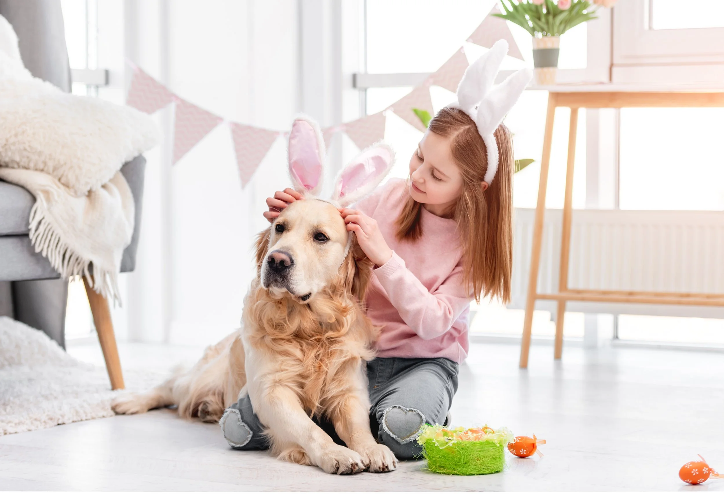 A girl with long red hair wearing bunny ears and a pink sweater, playing with a golden retriever dog dressed with bunny ears, in a bright living room decorated for Easter.