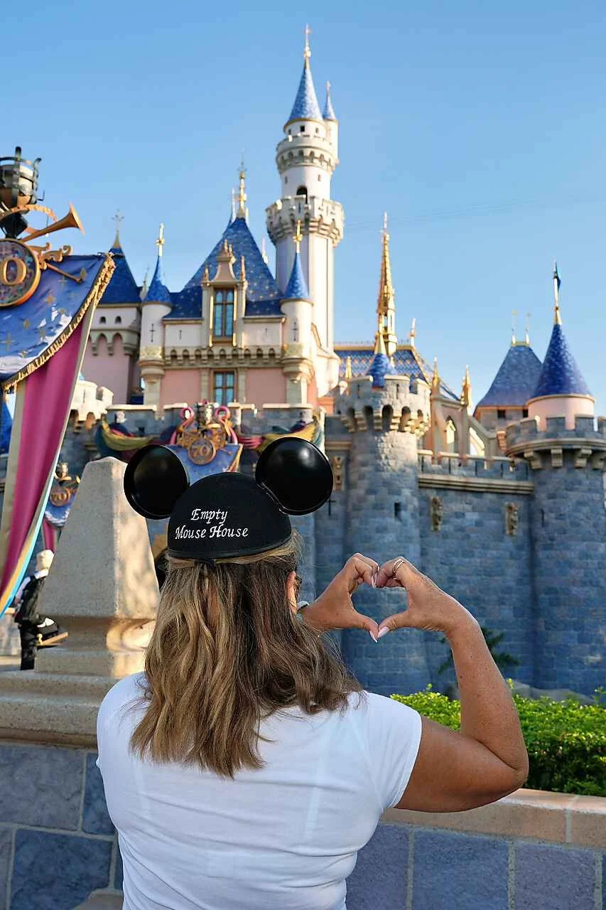 Case Study: Empty Mouse House