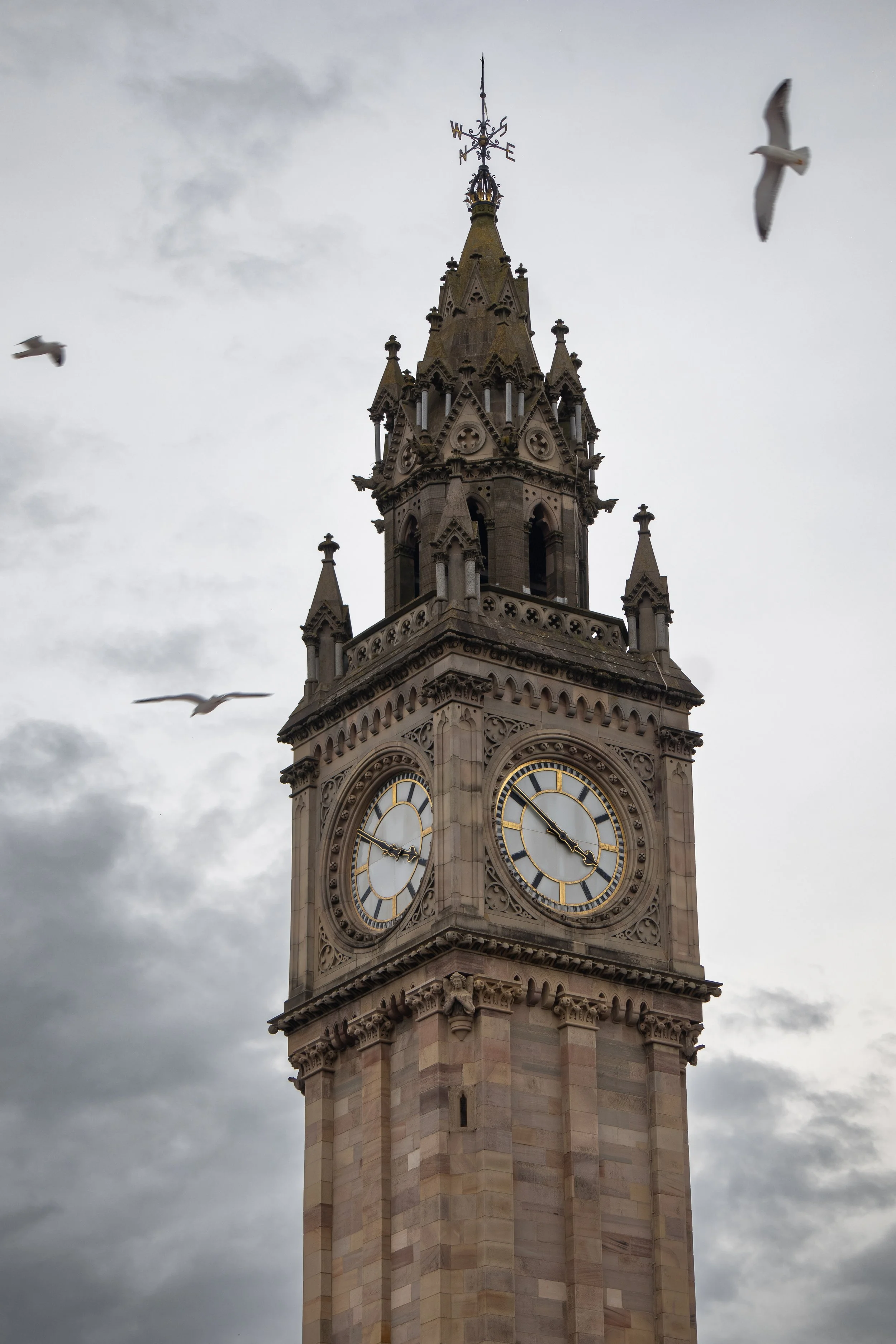 A tall clock tower with gothic architectural details, including pointed arches and decorative spires, under a cloudy sky, with three seagulls flying nearby.