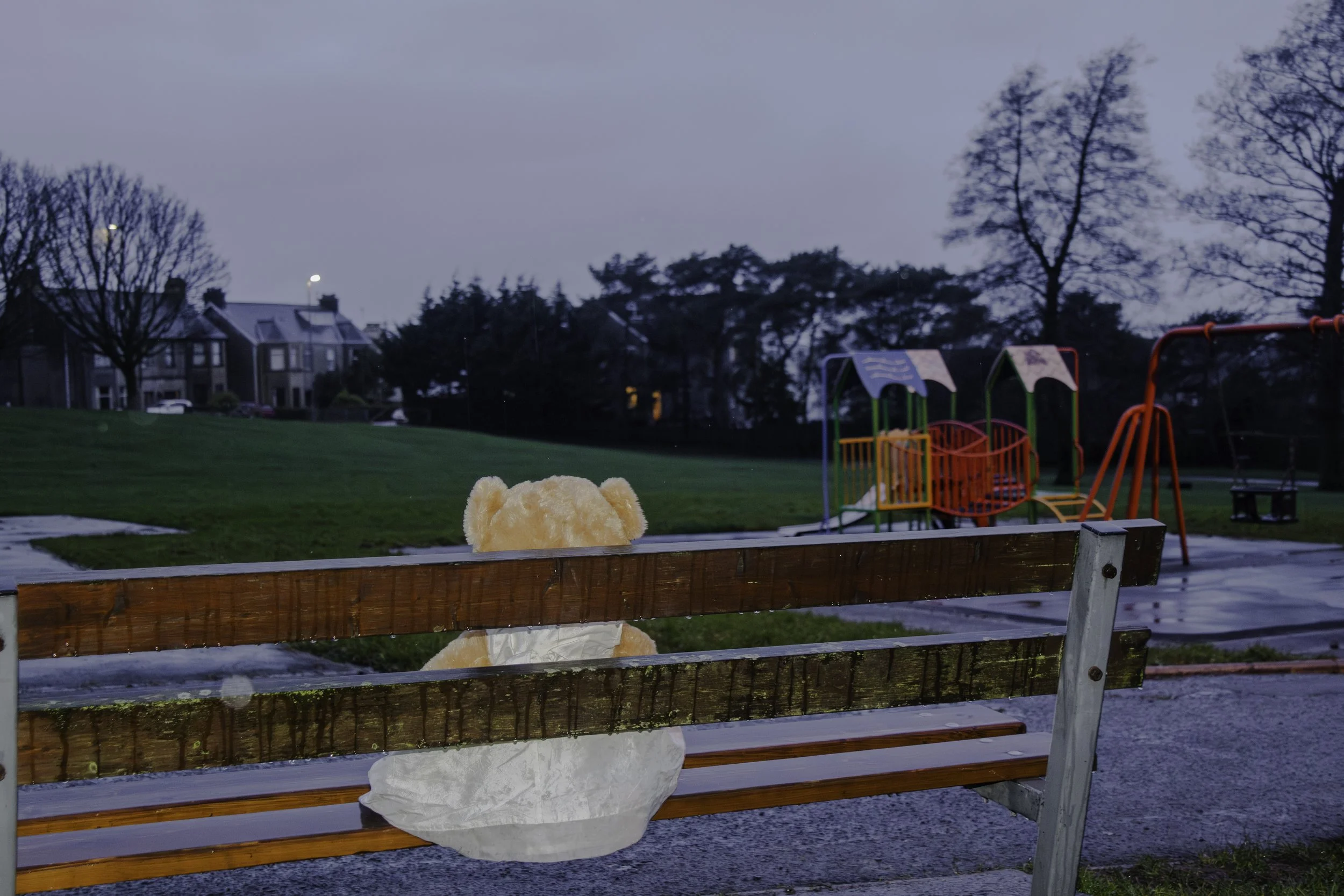 A teddy bear sitting on a park bench outside during cloudy weather, with a playground and houses in the background.