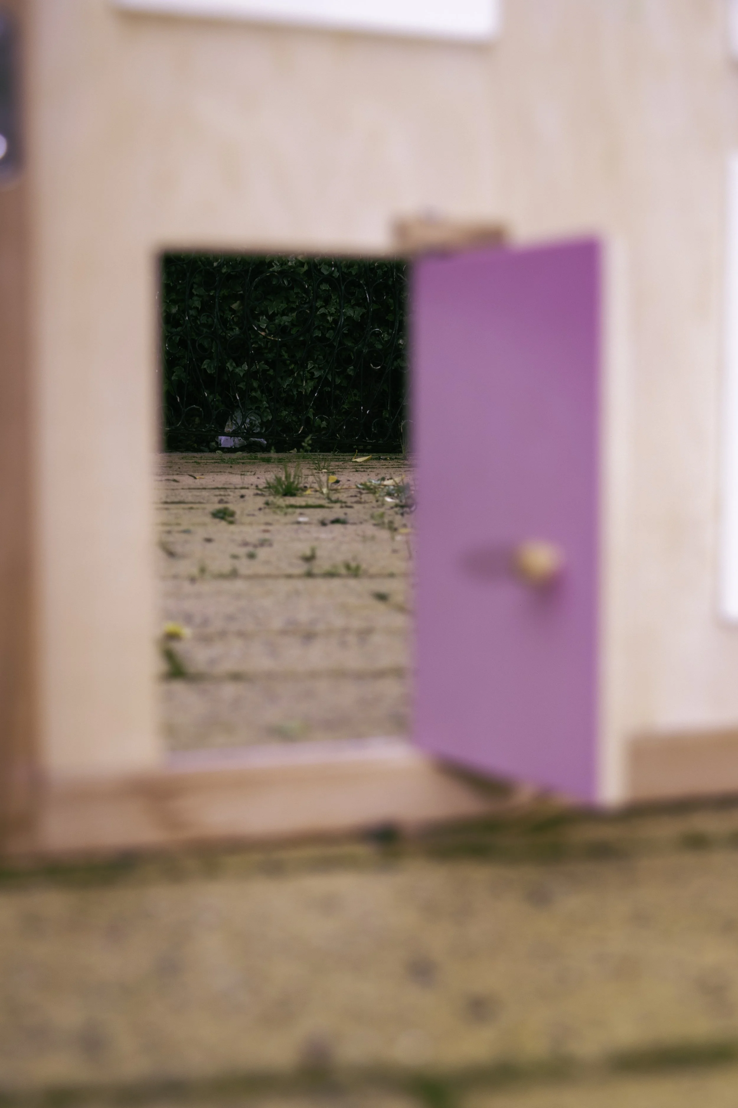 A pink door slightly open revealing a black wrought iron gate with green shrubbery behind it, outside on a brick pathway with fallen leaves.