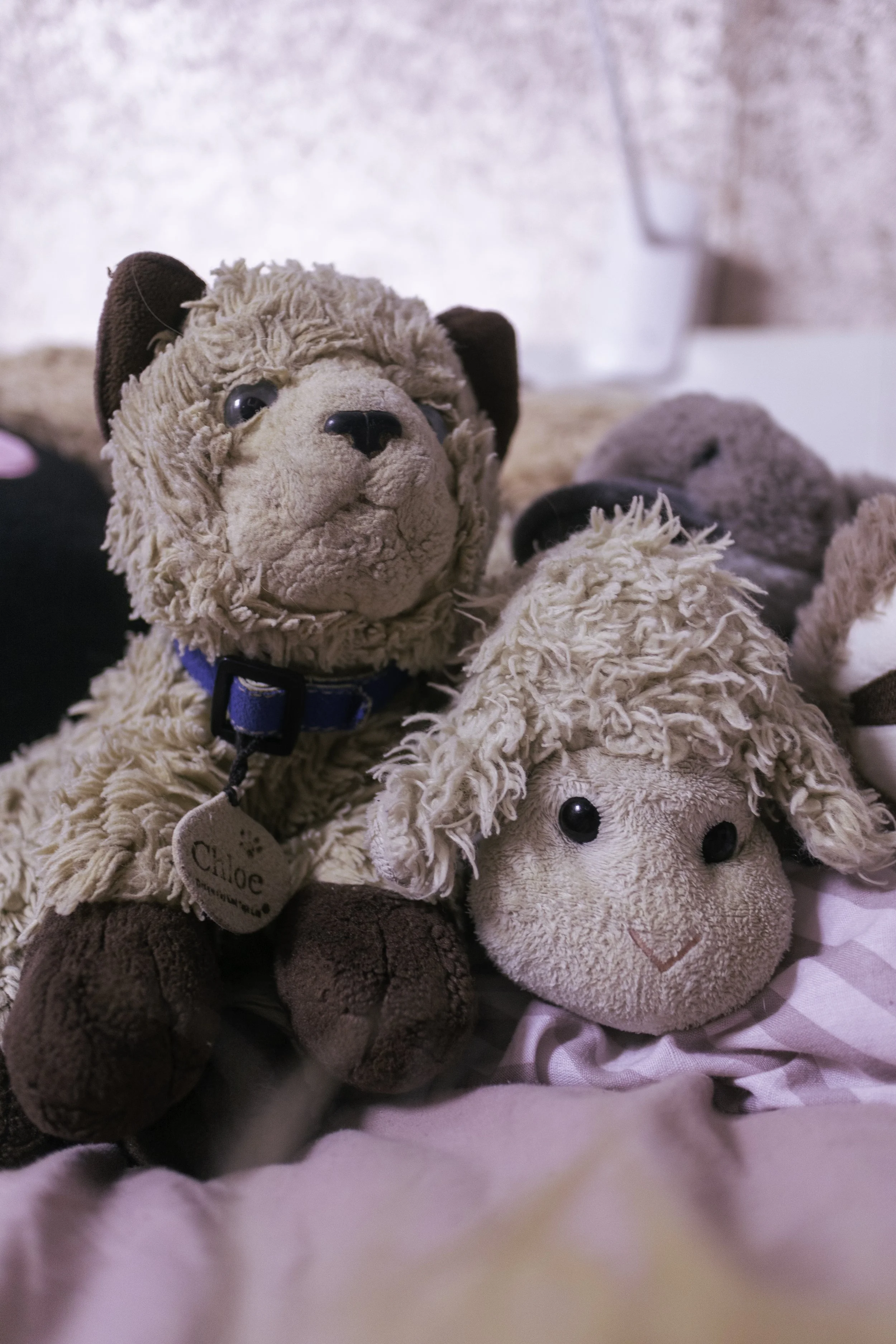 Close-up of plush toys, including a beige dog with a blue collar, a pink stuffed animal, and what appears to be a gray teddy bear, resting on a pink blanket.