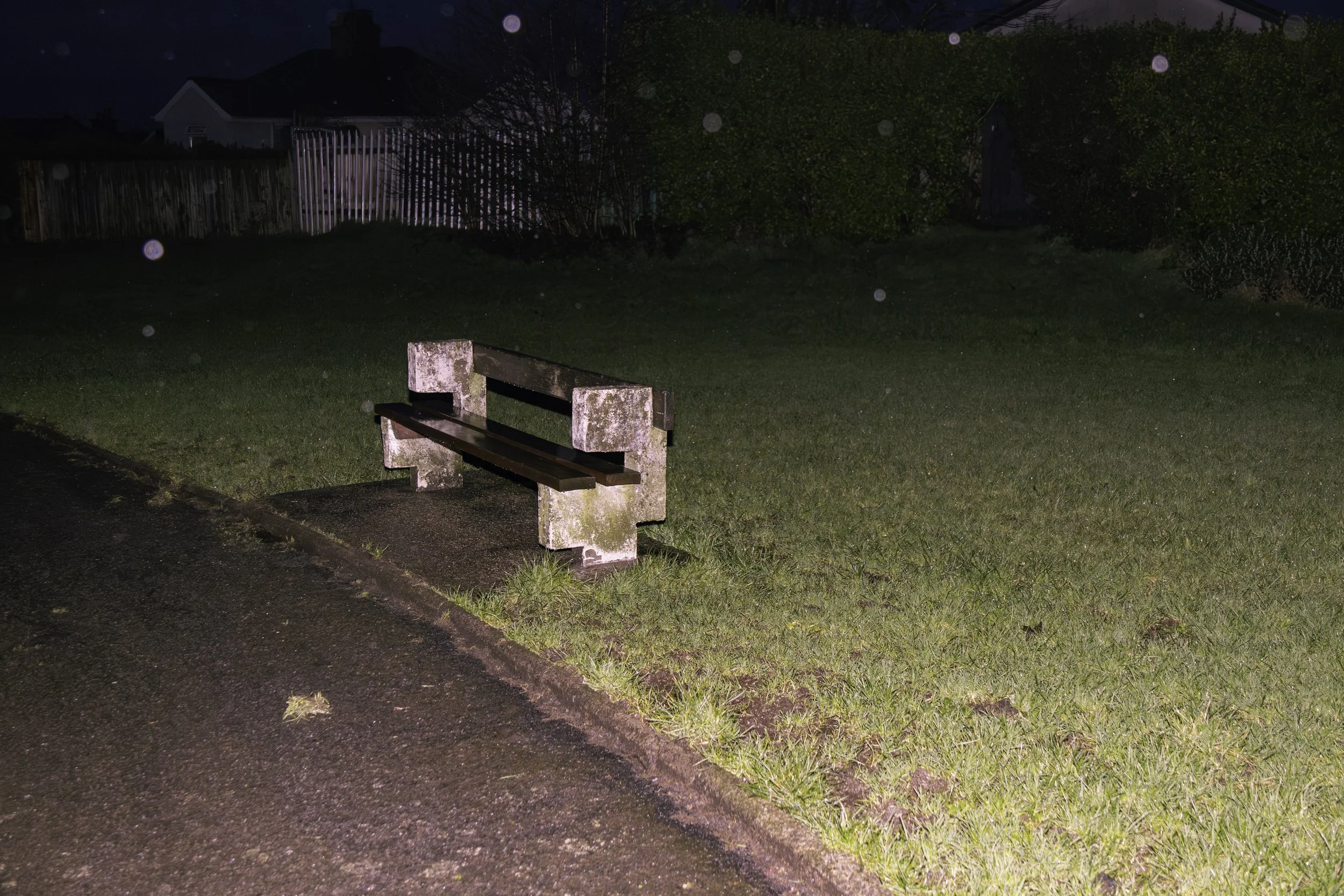 Nighttime scene of a park with a bench on a paved path, surrounded by grass and bushes, illuminated by a camera flash.