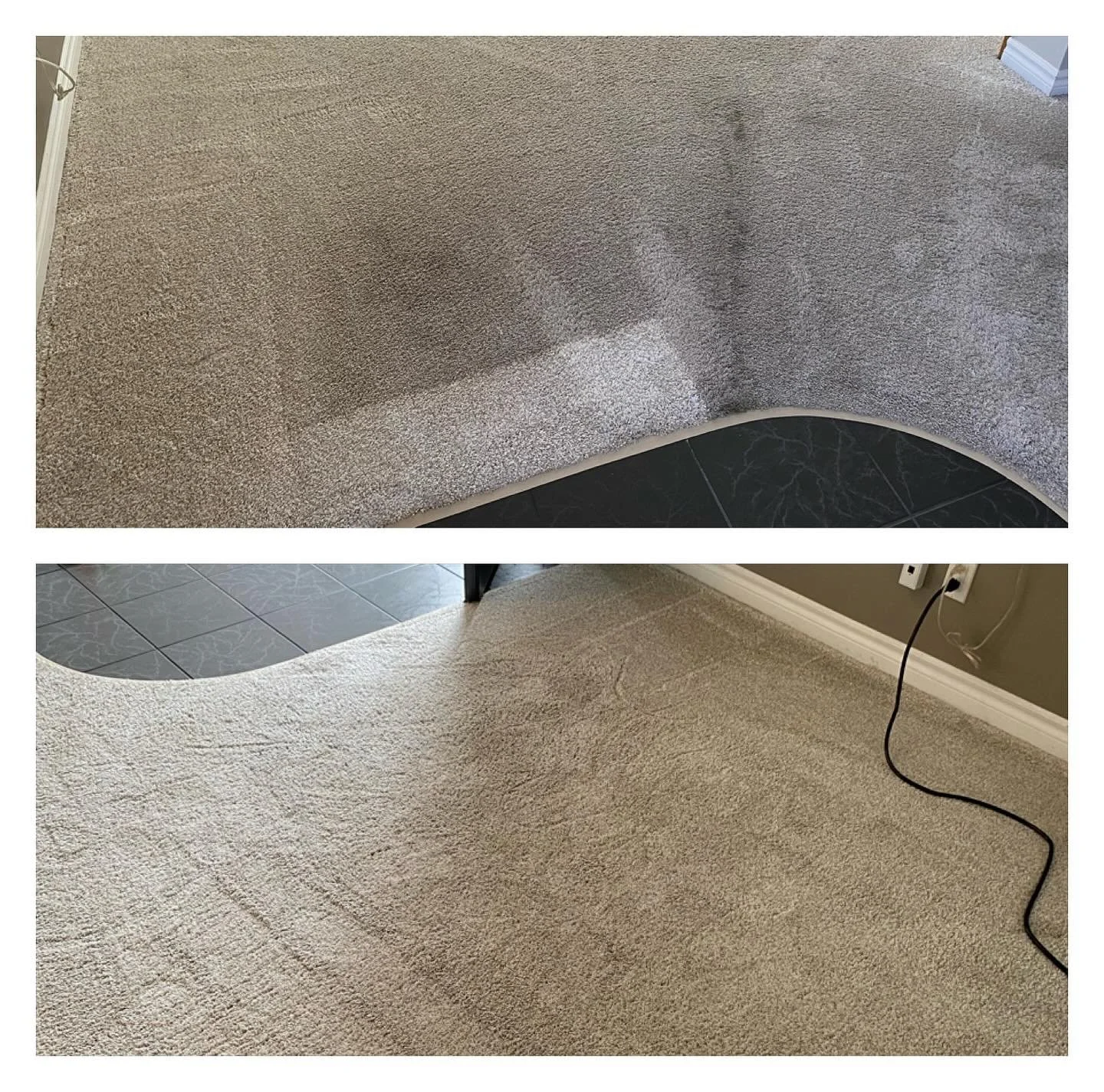 While cleaning your carpet is important, from a good house keeping perspective, there are a variety of reasons to have the carpet in your home professionally cleaned on a regular basis.

There's a lot of dust in your home, from a multitude of sources