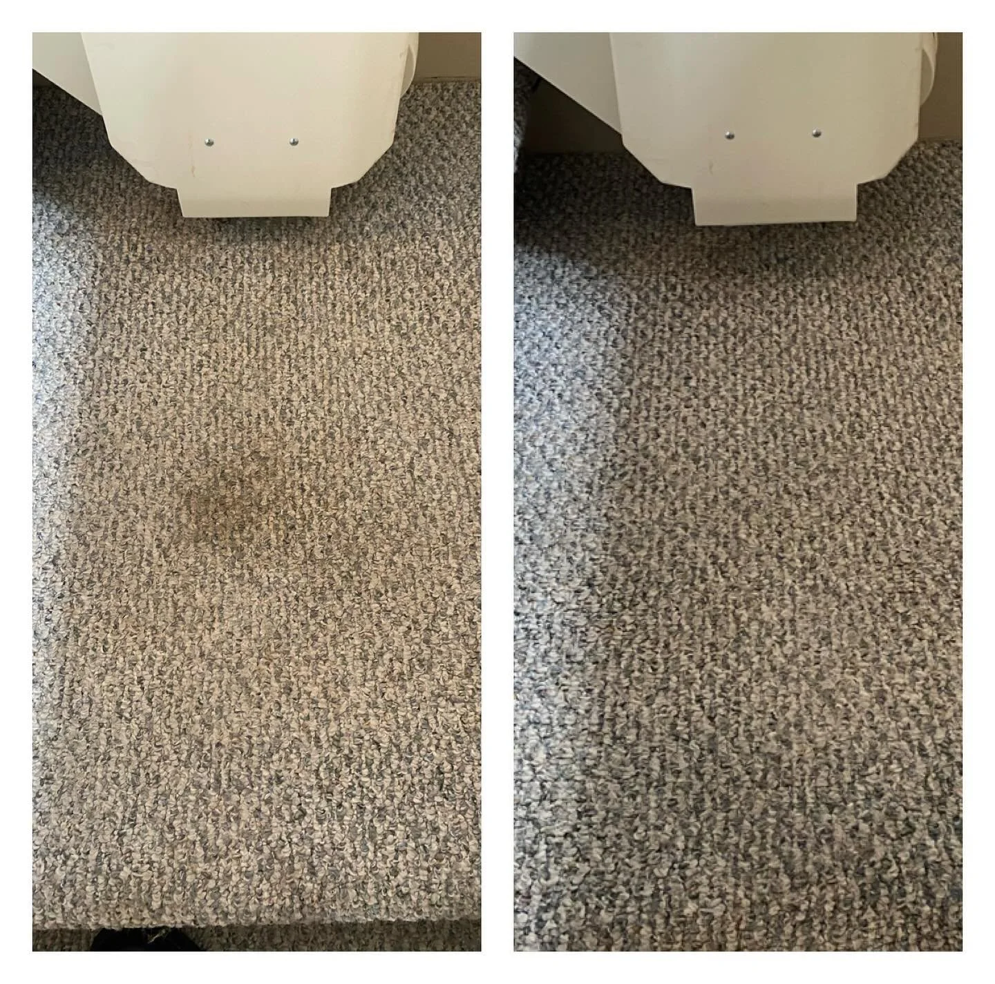 Carpet Cleaning