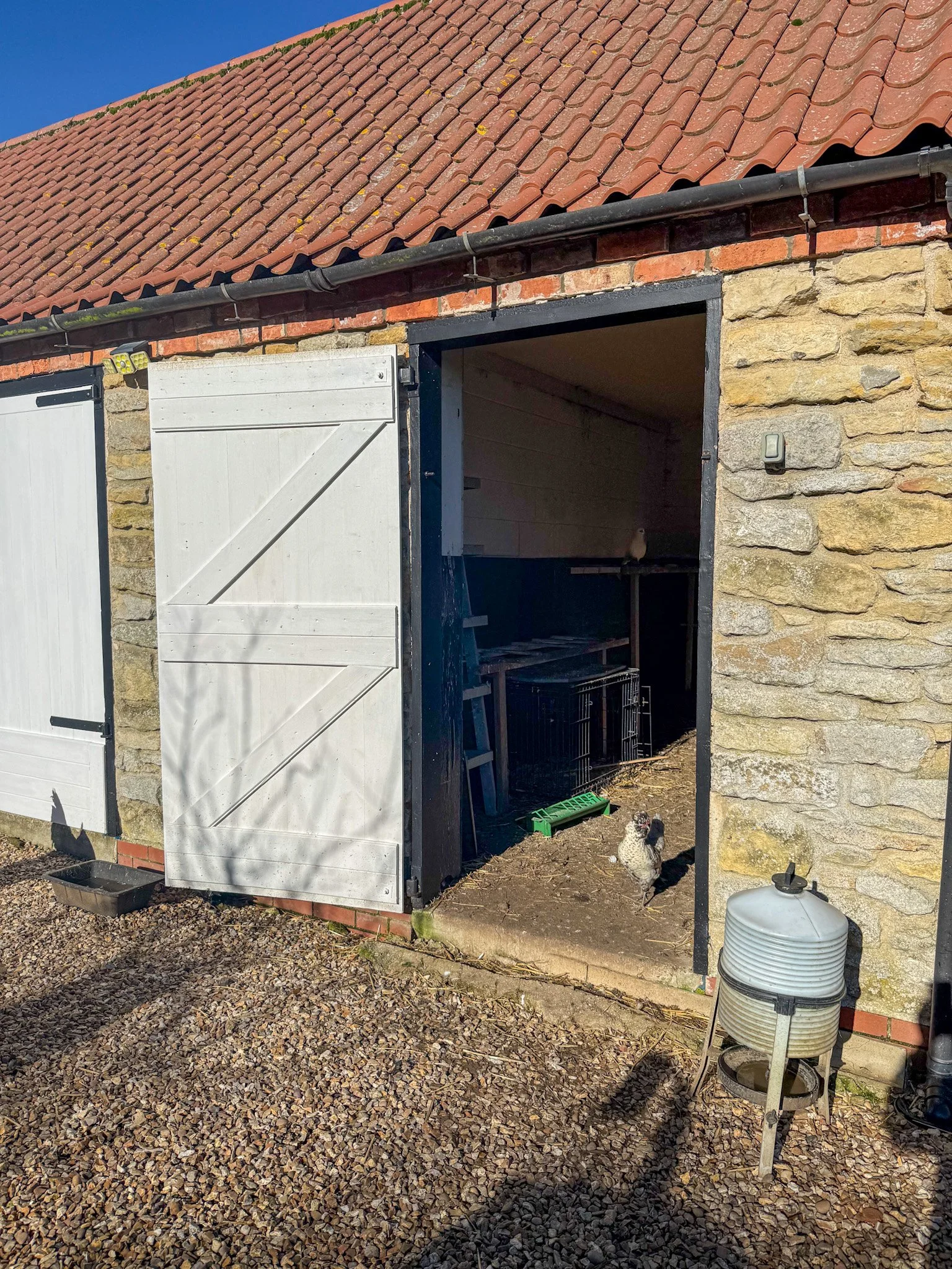 A small chicken stands outside a partially open shed attached to a stone and brick building with a tiled roof. The shed has white and black doors, with the right one open showing the dark interior. There is a container with a lid and stick on the gro
