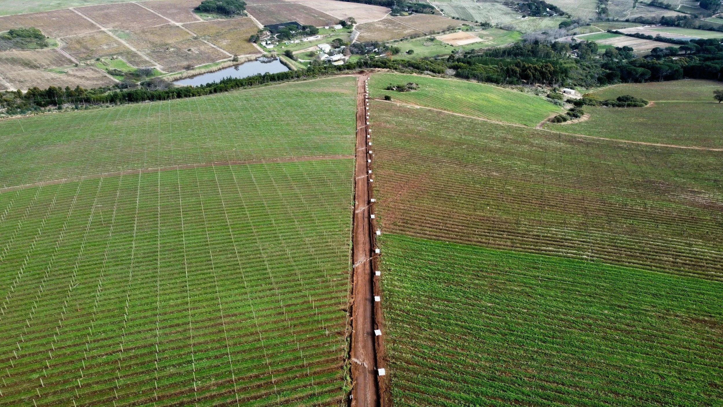 An aerial view of farmland divided by a dirt road, with sections of green and brown crops, a pond, trees, and scattered buildings in the background.