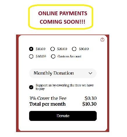 A donation form with options for different amounts, a dropdown for monthly donation, and a black 'Donate' button. A yellow note at the top says 'ONLINE PAYMENTS COMING SOON!!!'
