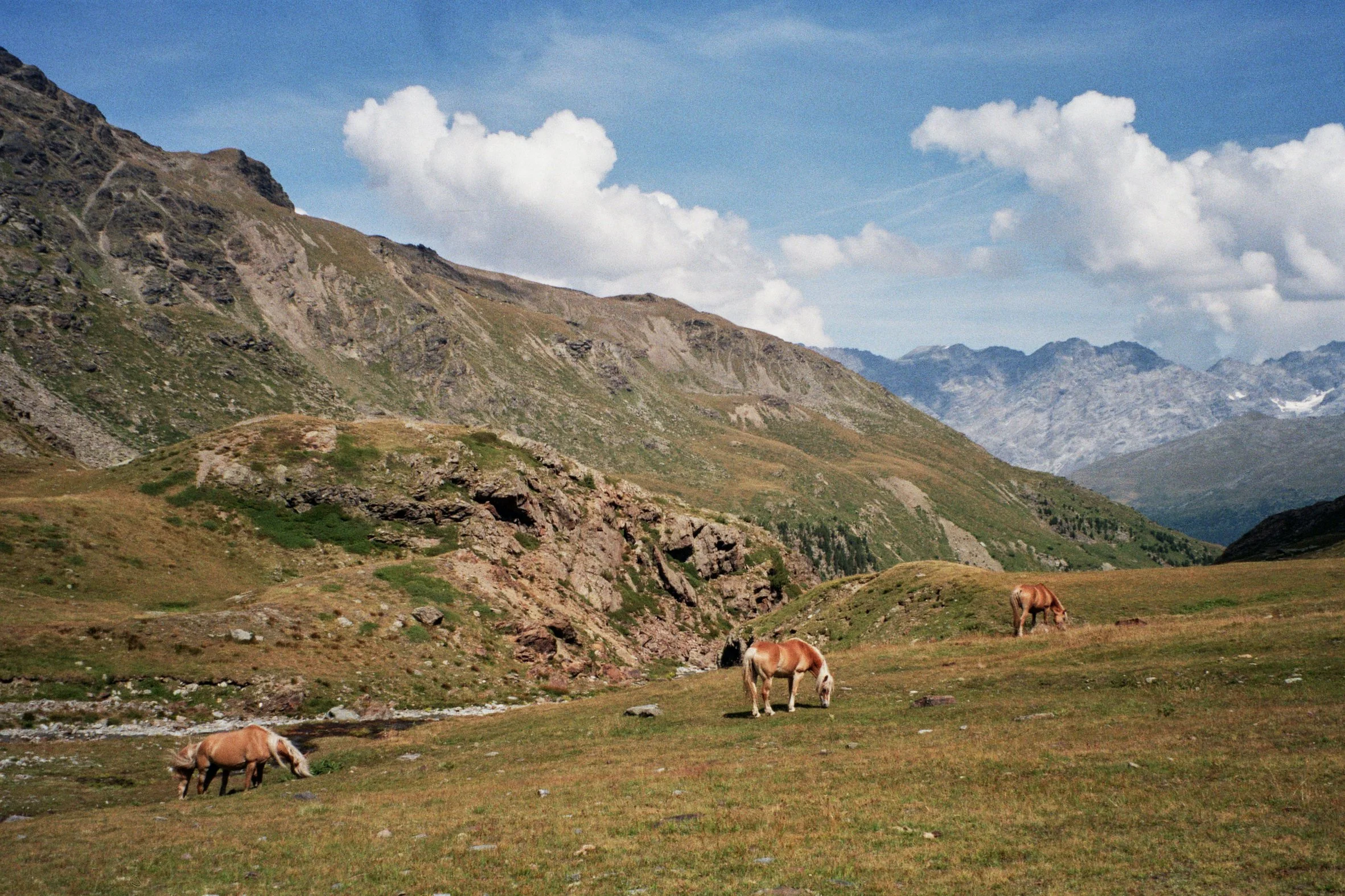 Mountain landscape with green slopes, rocky terrain, and grazing horses under a blue sky with white clouds.