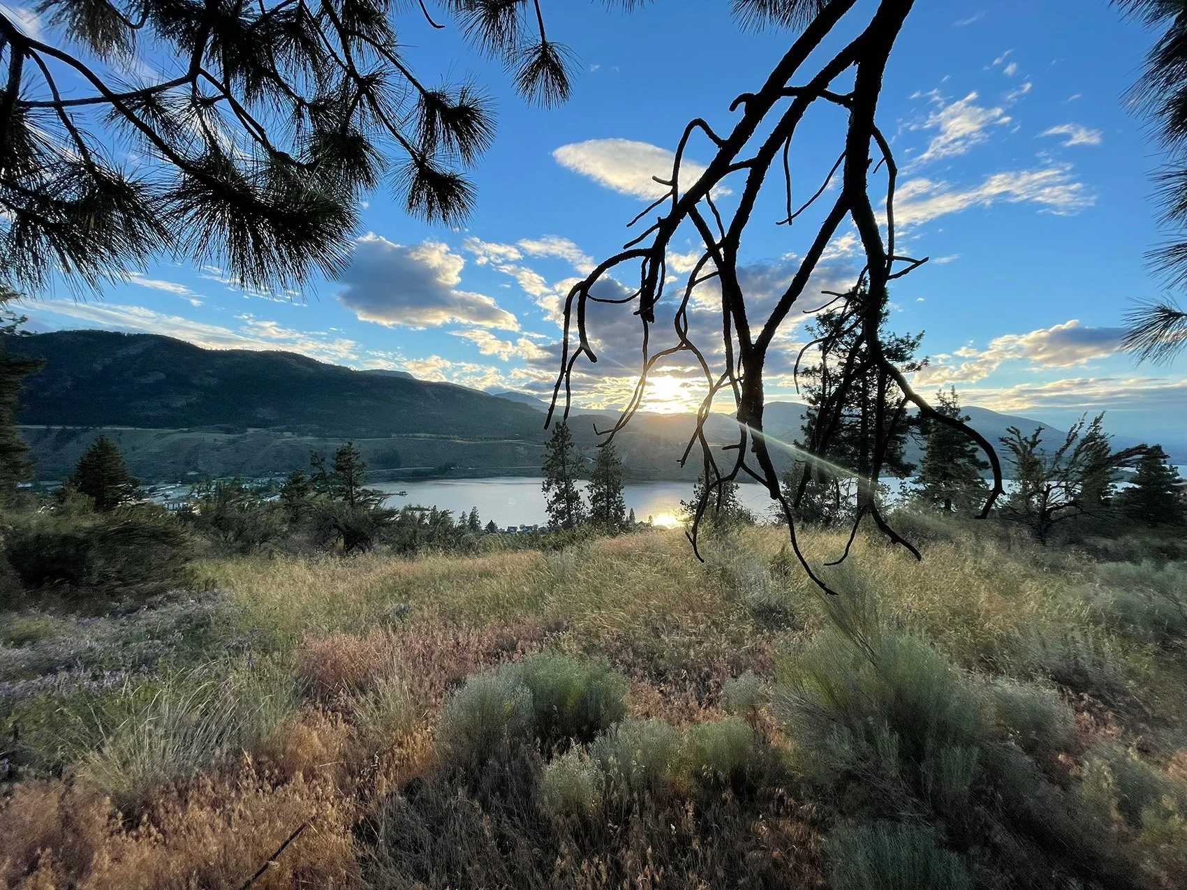 Sun shining over lake with tree branches framing the foreground