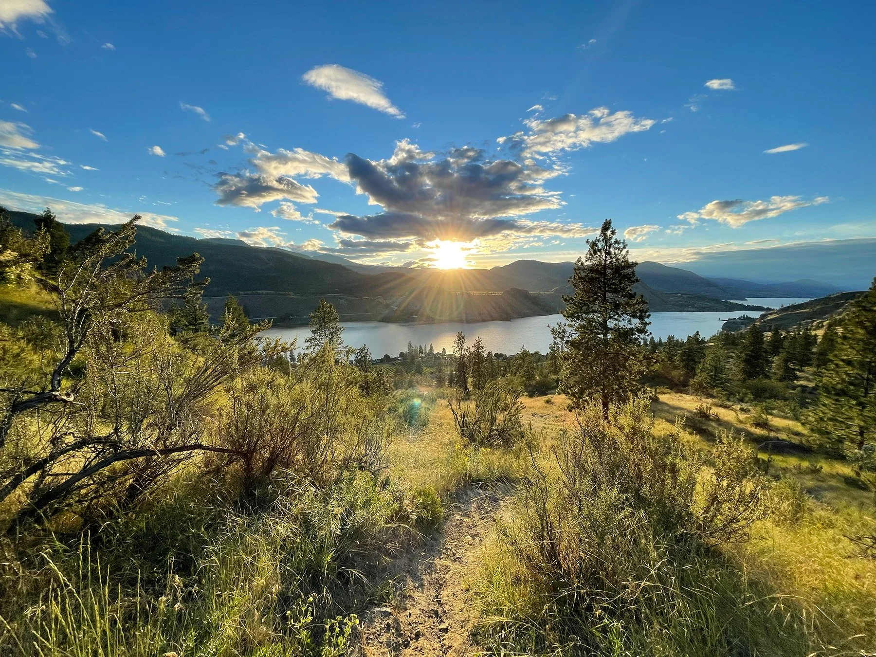 Sun rising over the lake with a lush forested meadow in the foreground