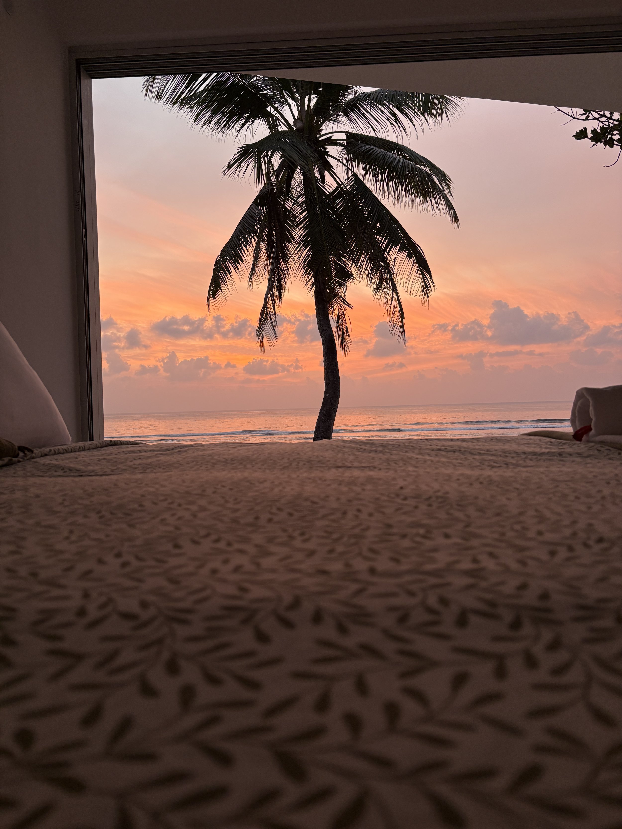 sunrise from infinity master bedroom view across bed.JPG
