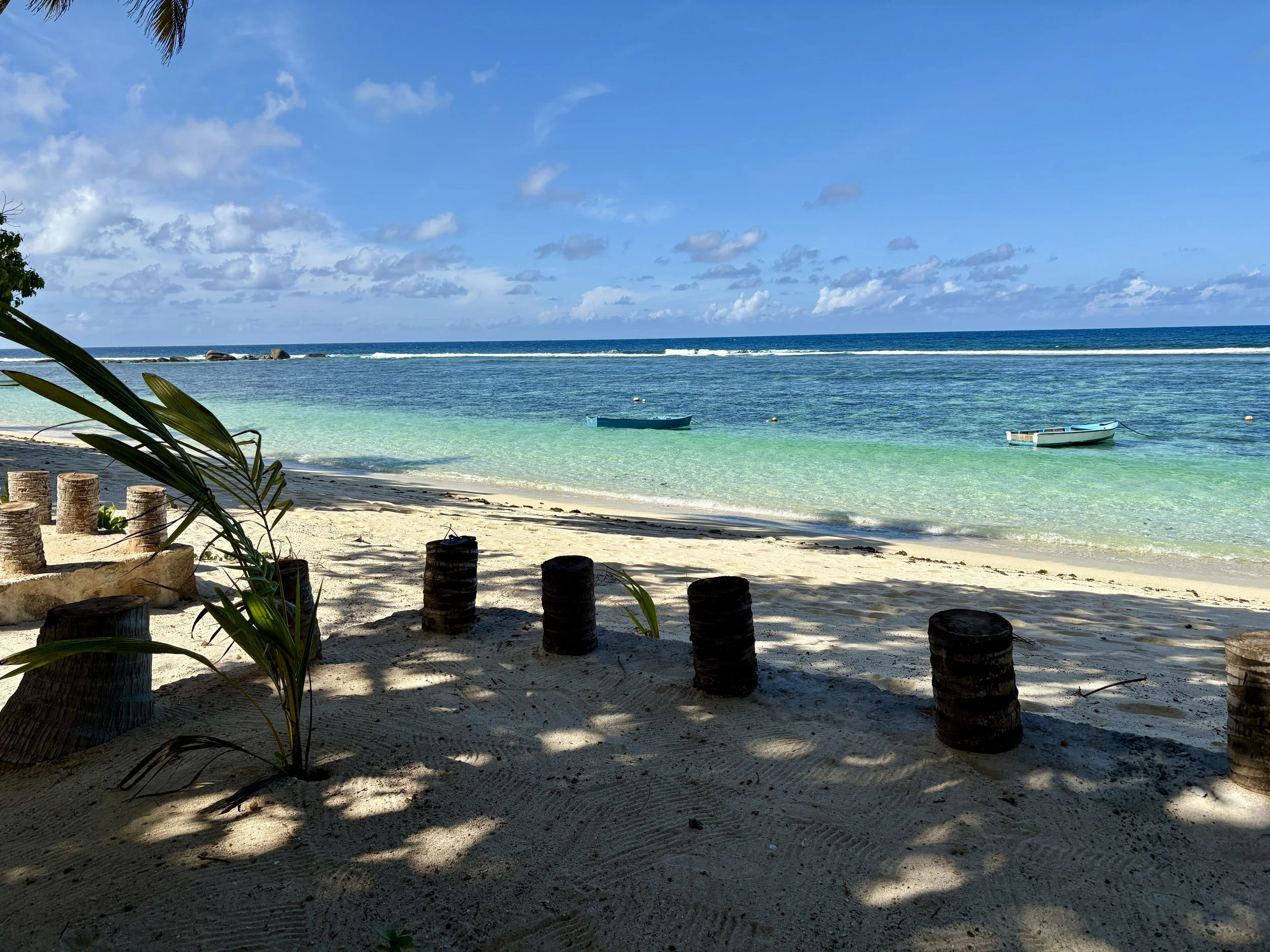 garden seamlessly blends with beach.JPG