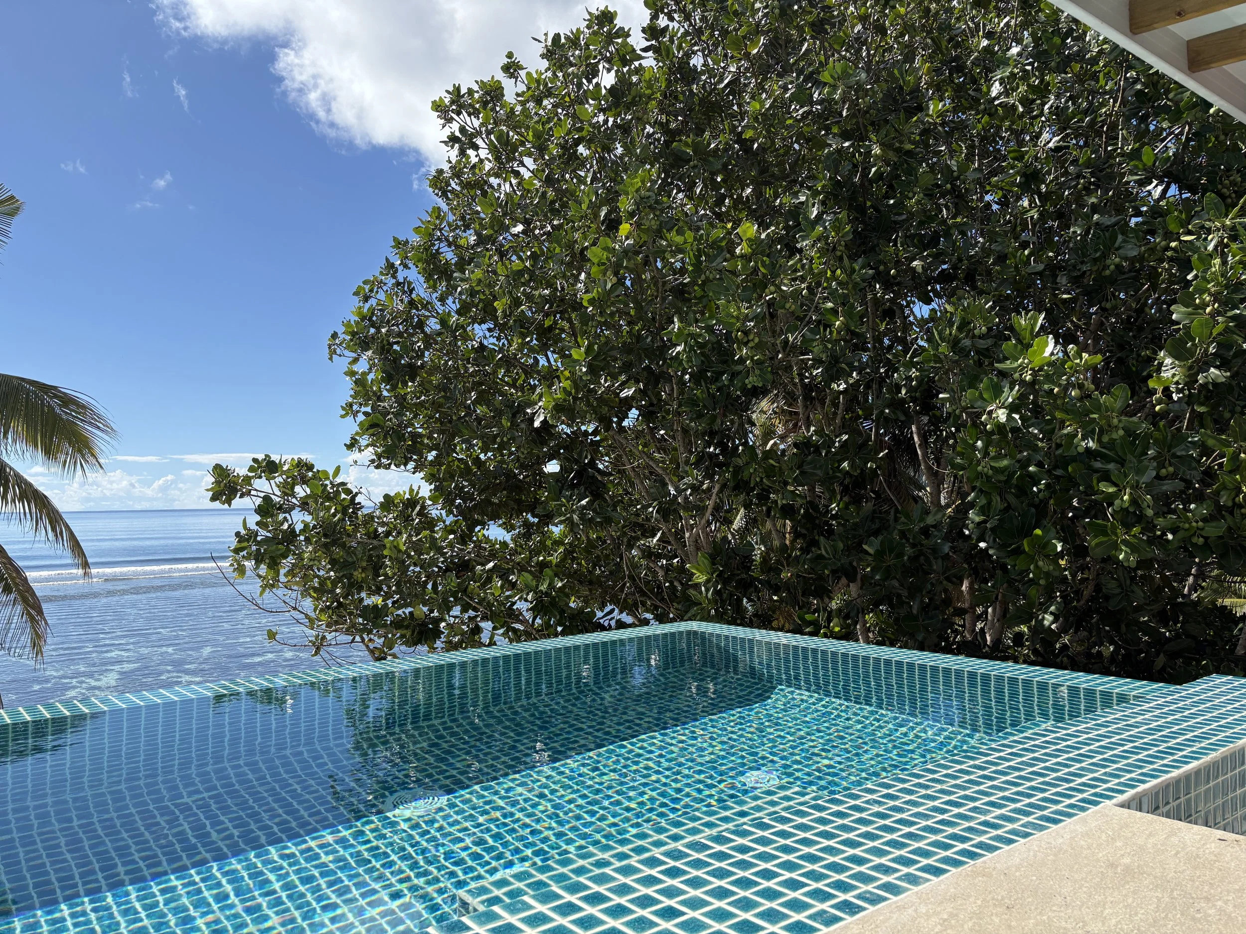 infinity pool takamaka tree.JPG
