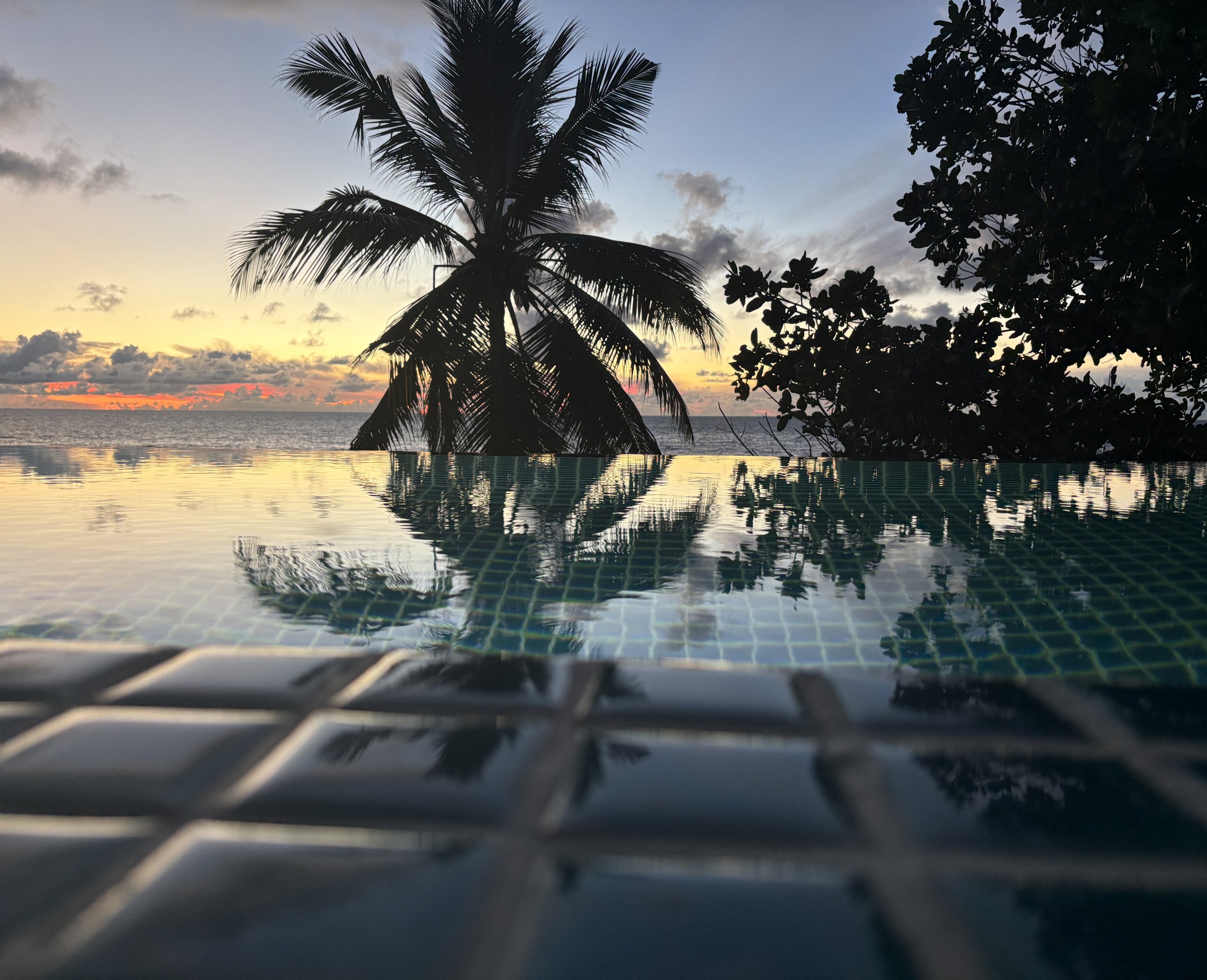 sunrise in infinity pool.jpg