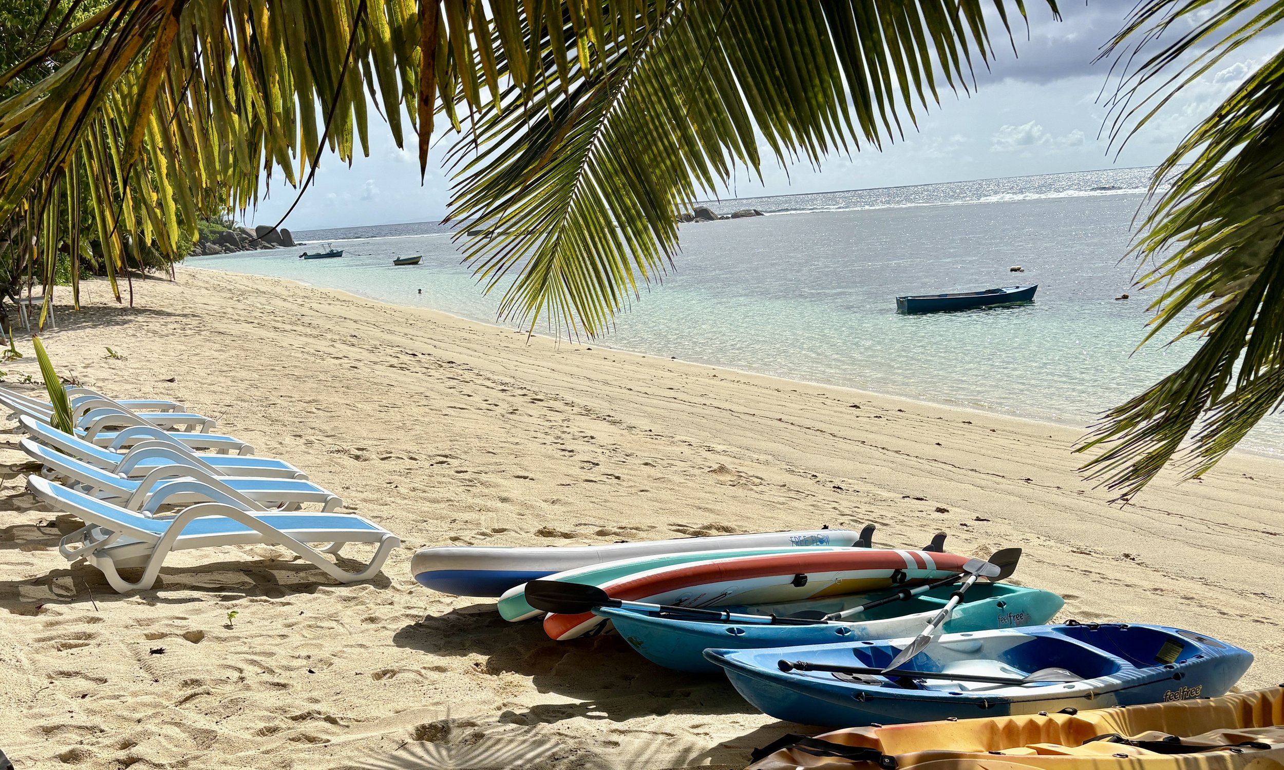 loungers SUPs on beach.JPG