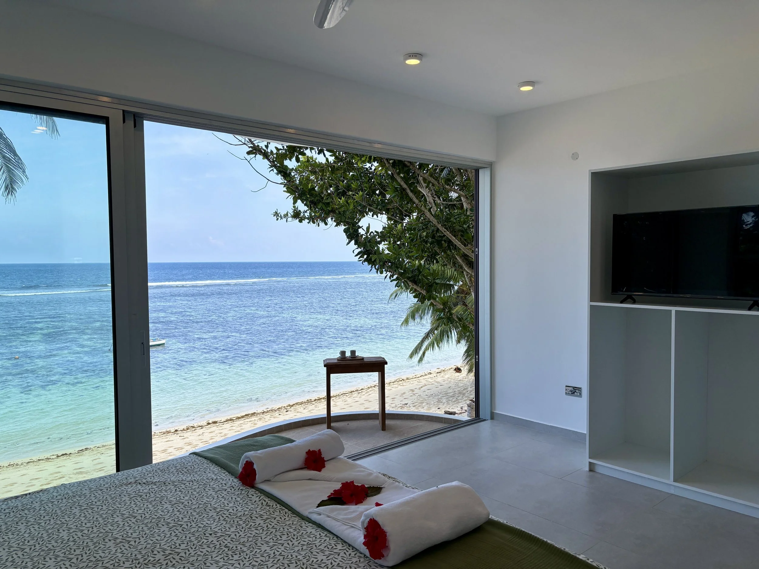 infinity master bedroom tv view of anse forbans.JPG