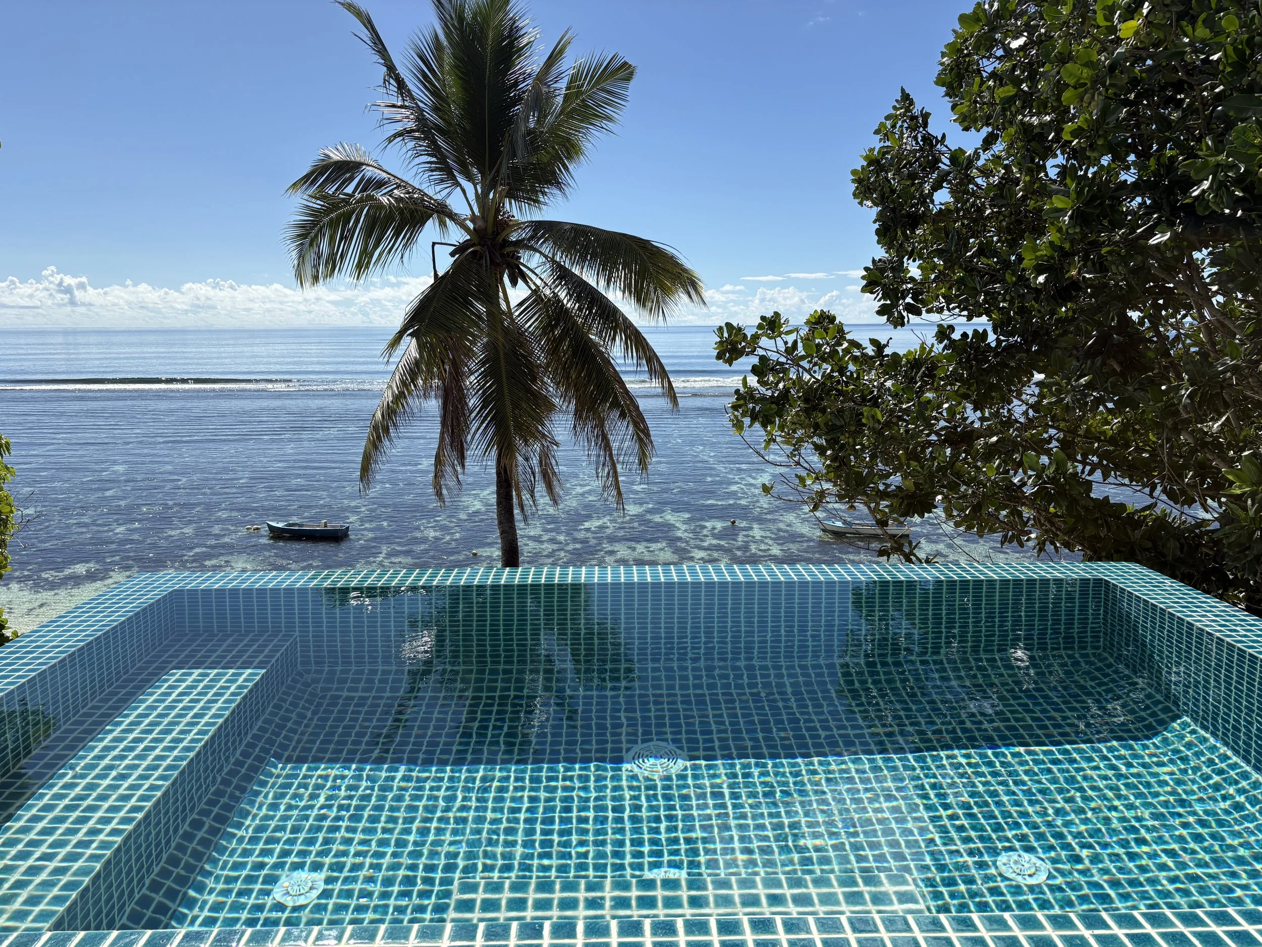 infinity pool view of indian ocean and coconut tree.JPG