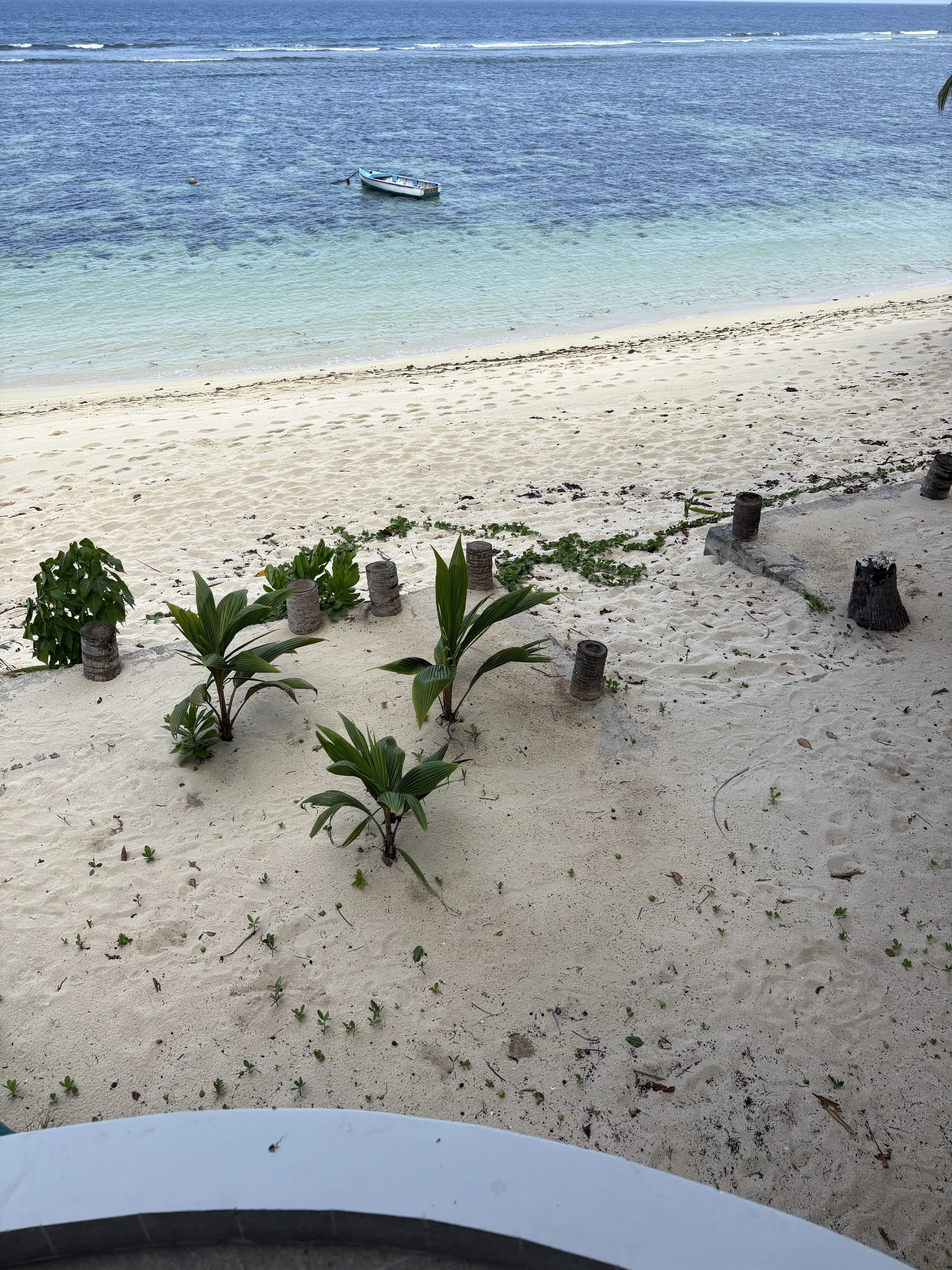 infinity view of anse forbans beach down from terrace.JPG