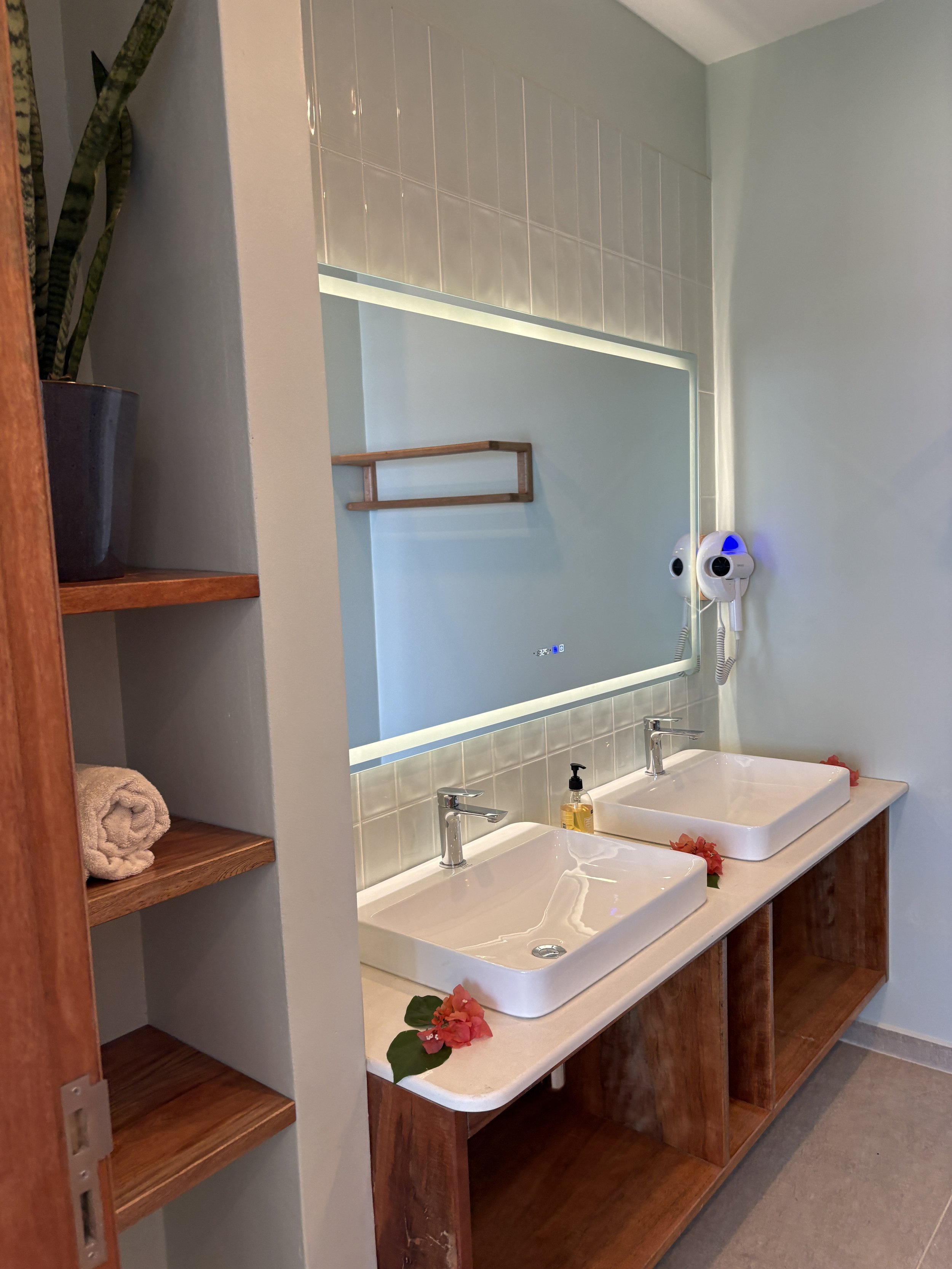 infinity master bathroom with plant and shelves1.JPG