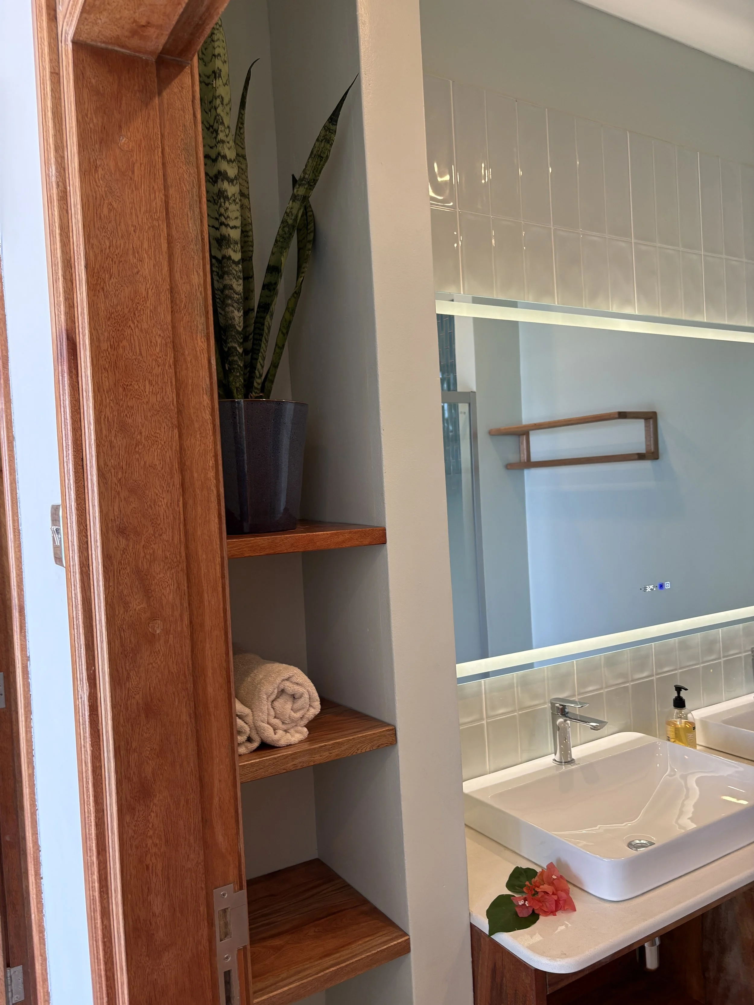 infinity master bathroom with plant and shelves.JPG