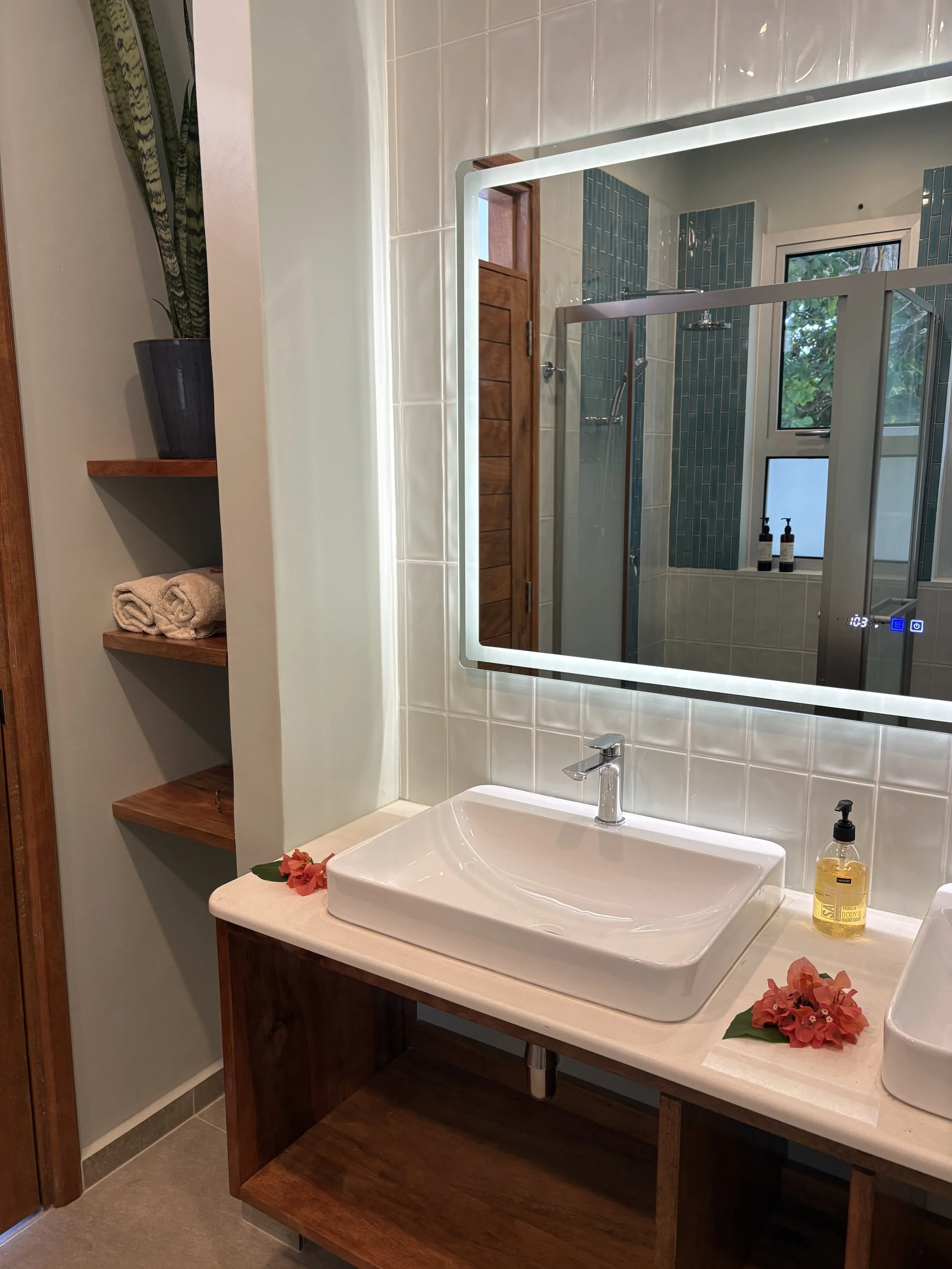 infinity master bathroom with plant and shelves2.JPG