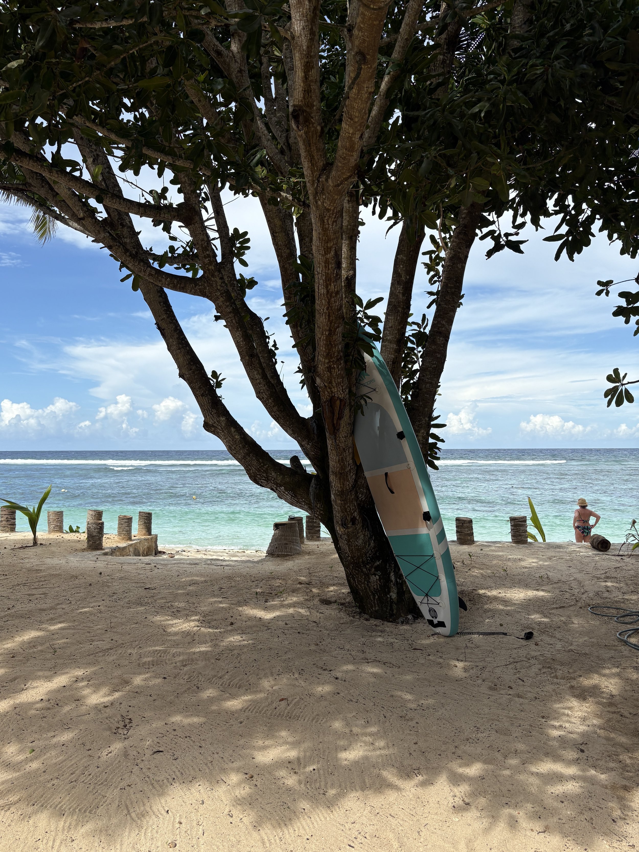 SUP standing against takamaka tree.JPG