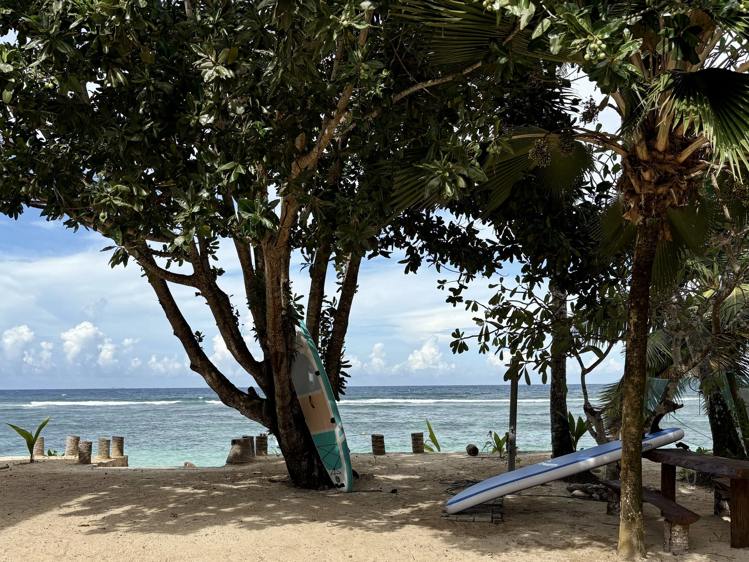 view from terrace of ocean.jpg