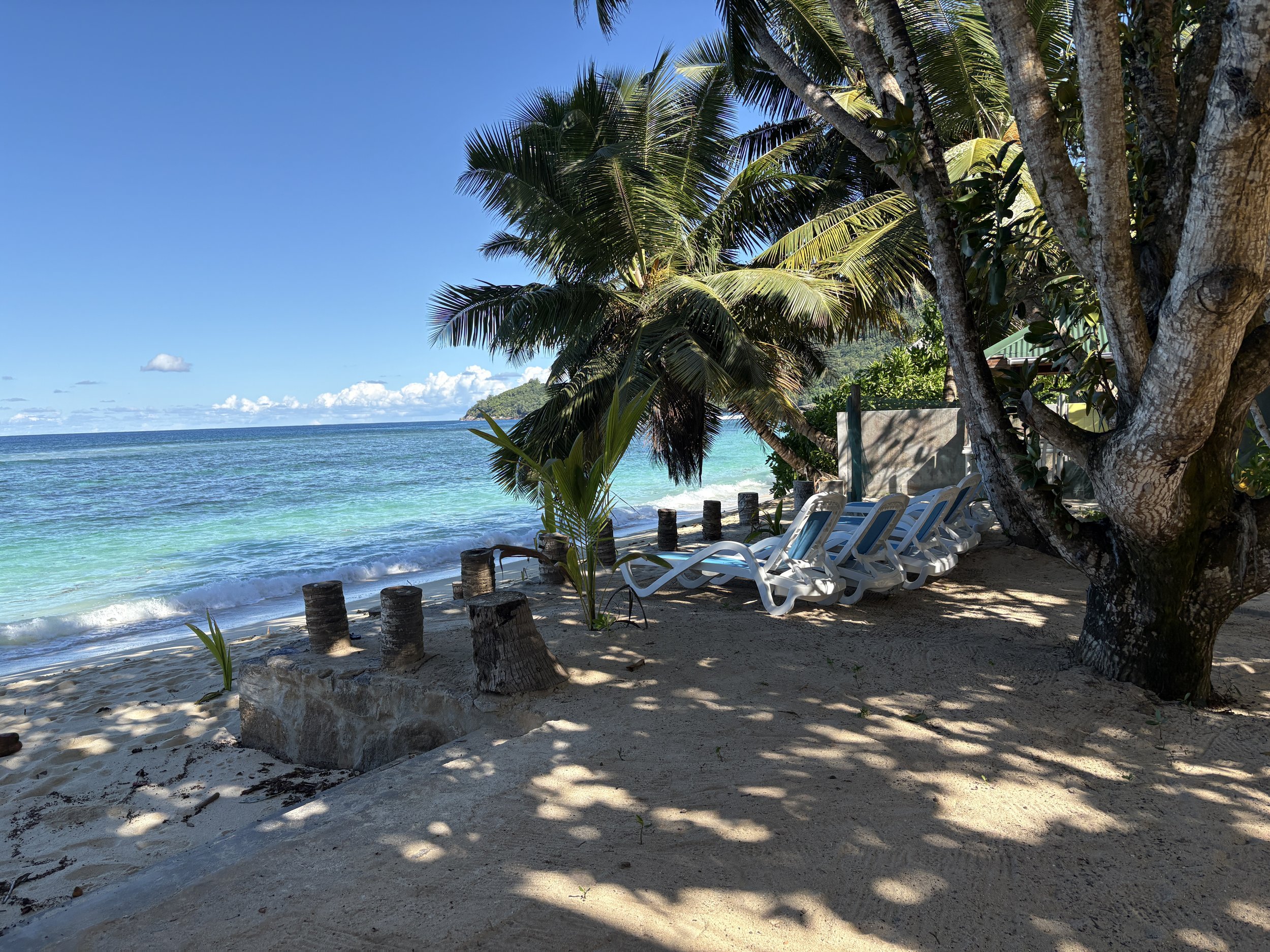beach view loungers.JPG
